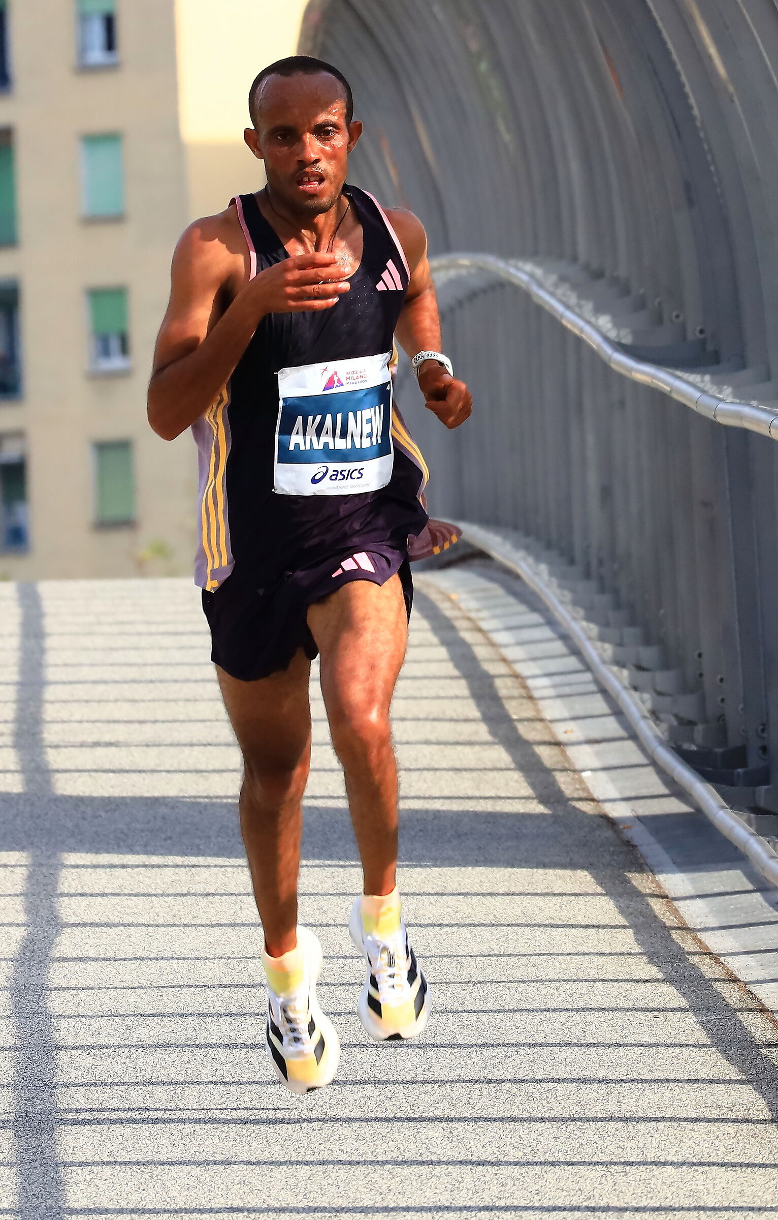 all done at 19.5 km/h...