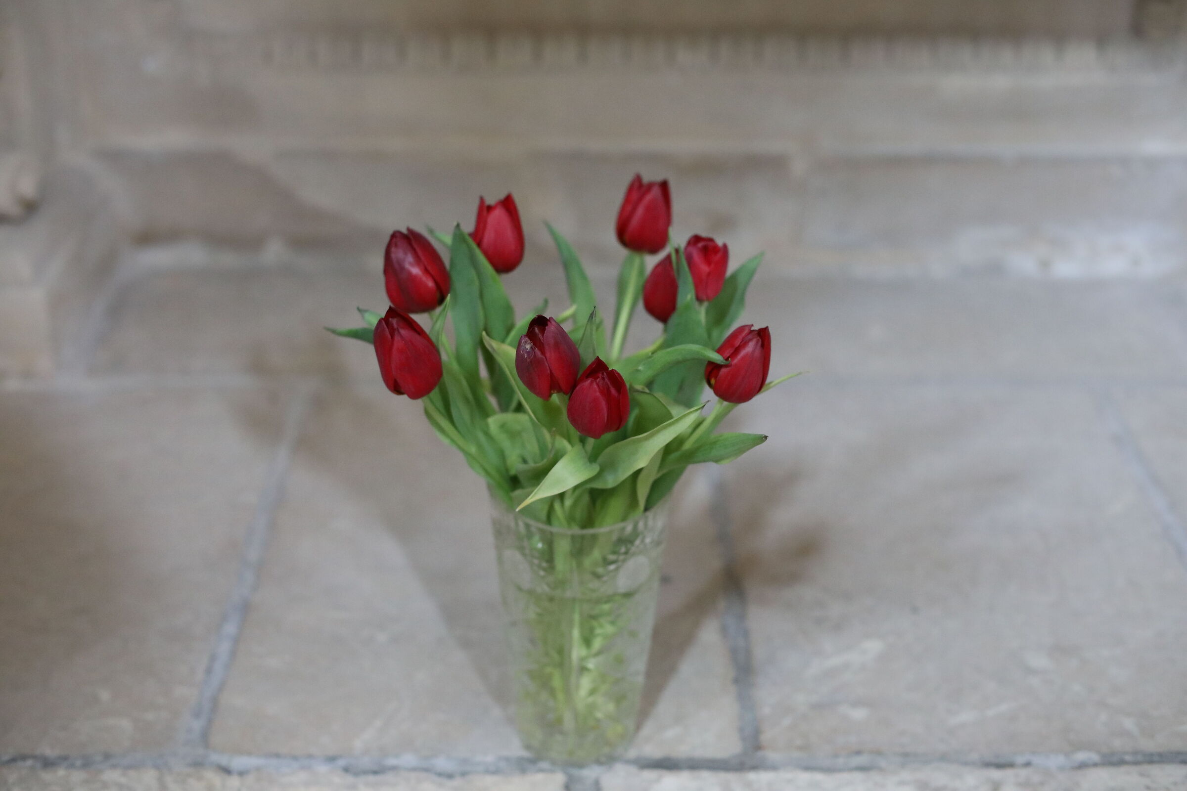 @ F. 2.8, " ISO 6 Mila 400 " 5 D IV- Milvus Z. 50, 1.4