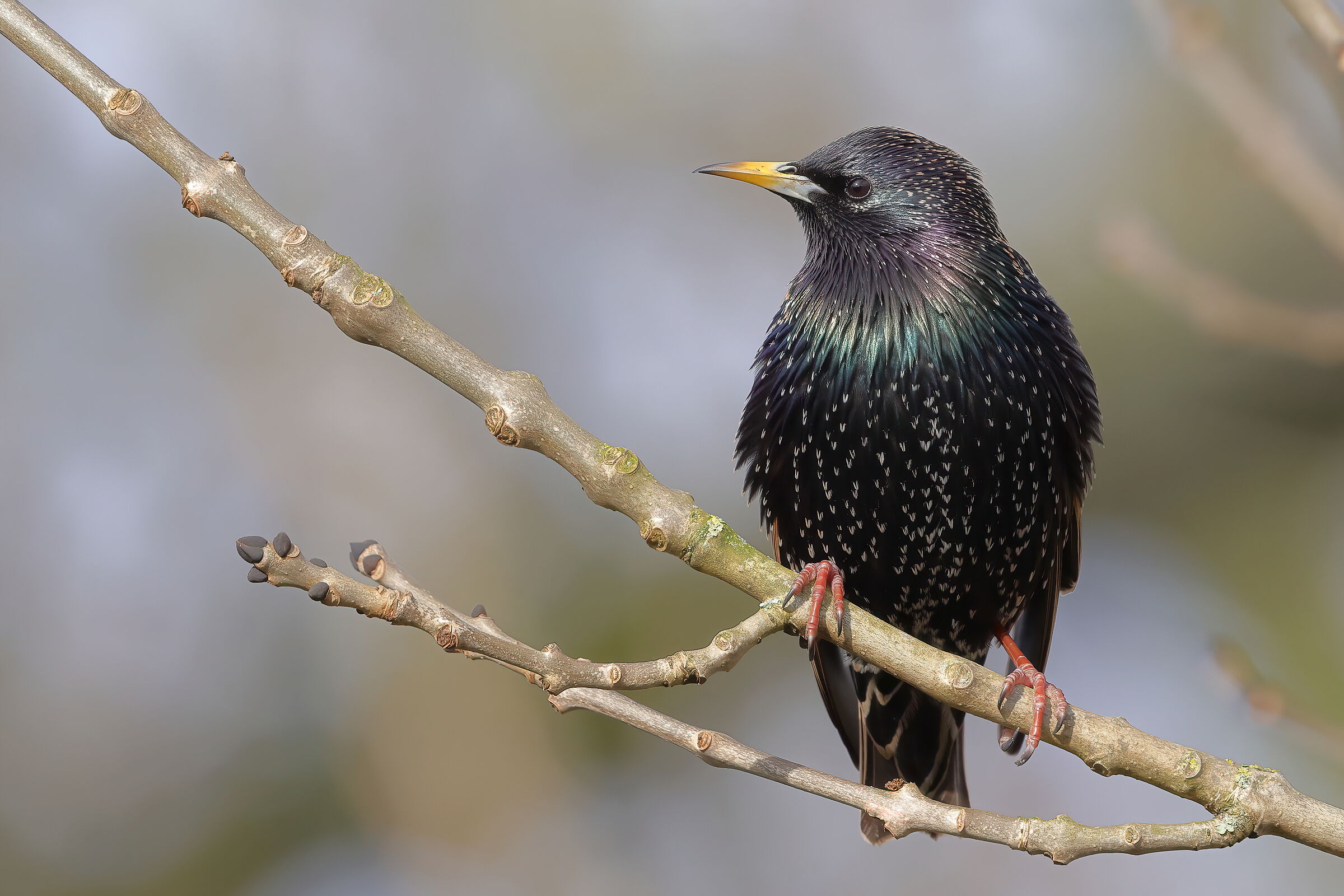 In the warmth of dawn