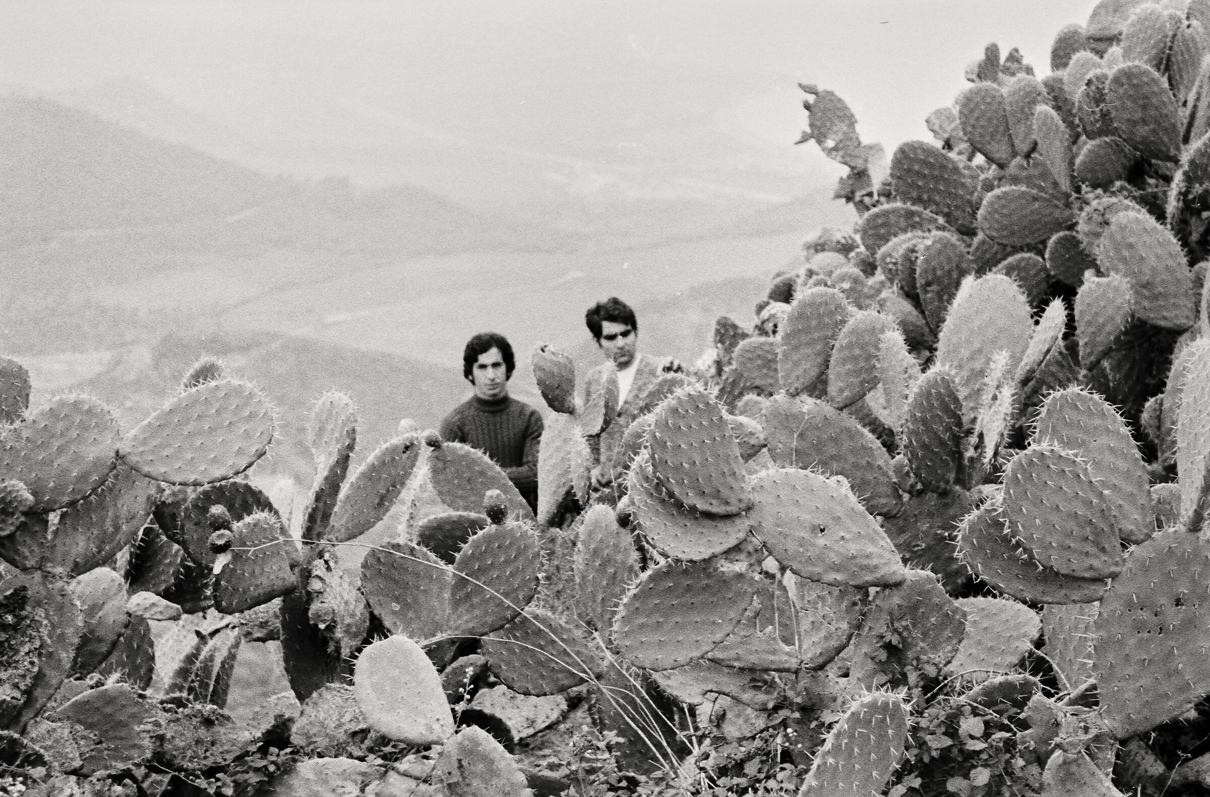 Prickly pears, Sicily, circa 1980