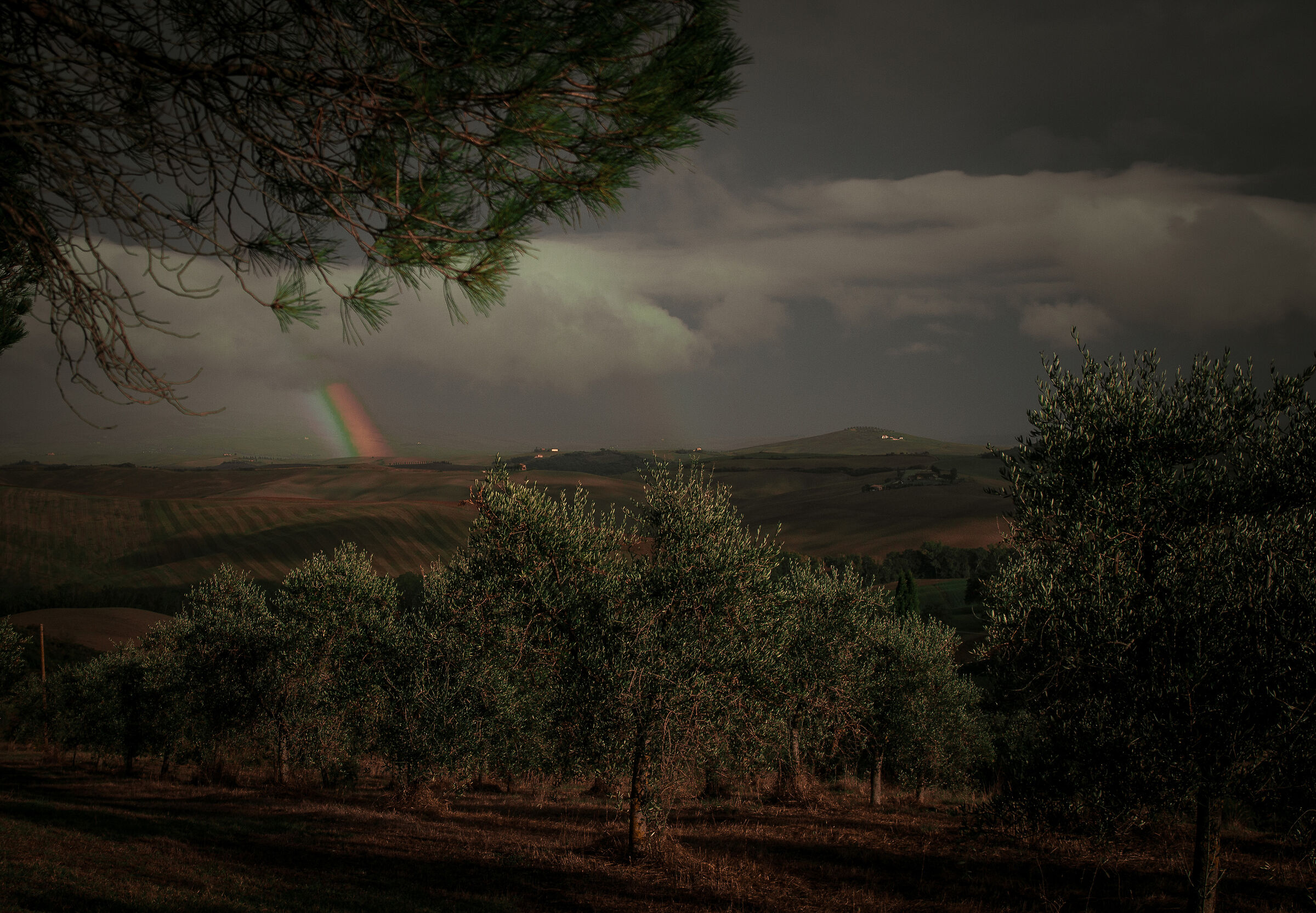 Untitled Photo