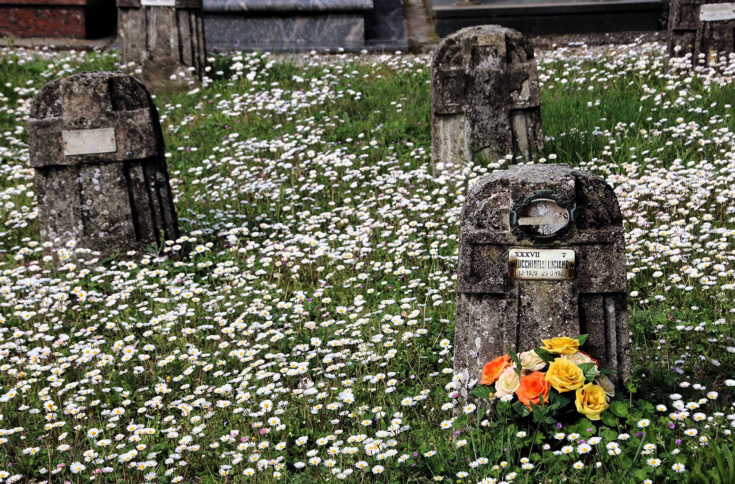 Requiescant in pacem