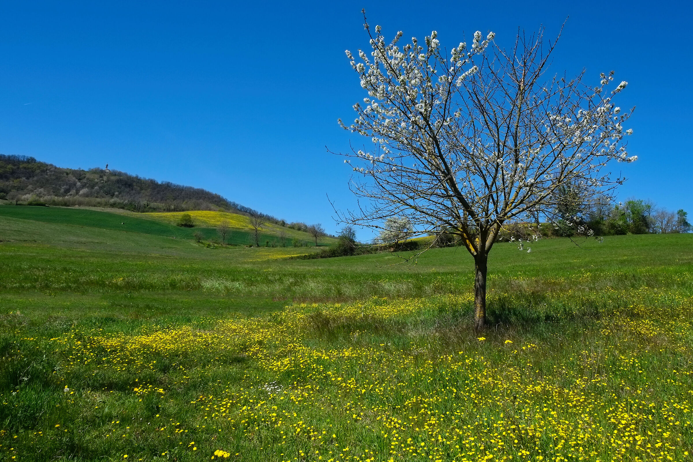 Spring in the hills