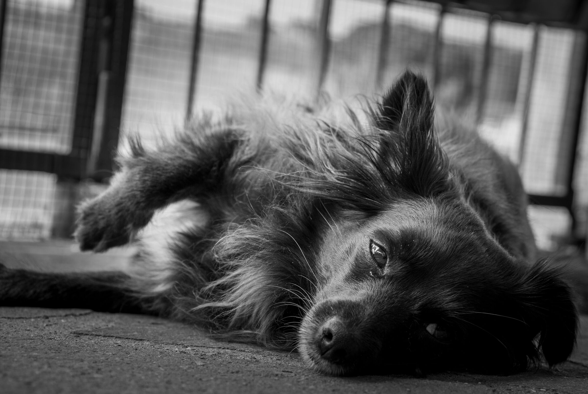 Luna - canon eos R 1/100 f. 7.1 iso 100