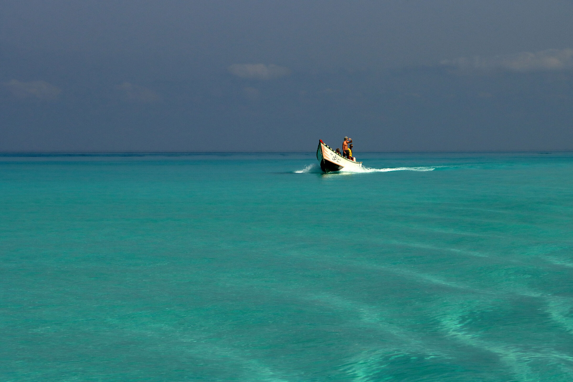 S O C O T R A - at Shoab