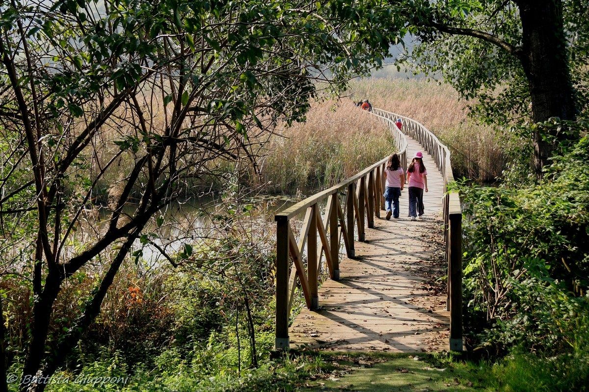 Piccole donne, grandi amicizie - Adda