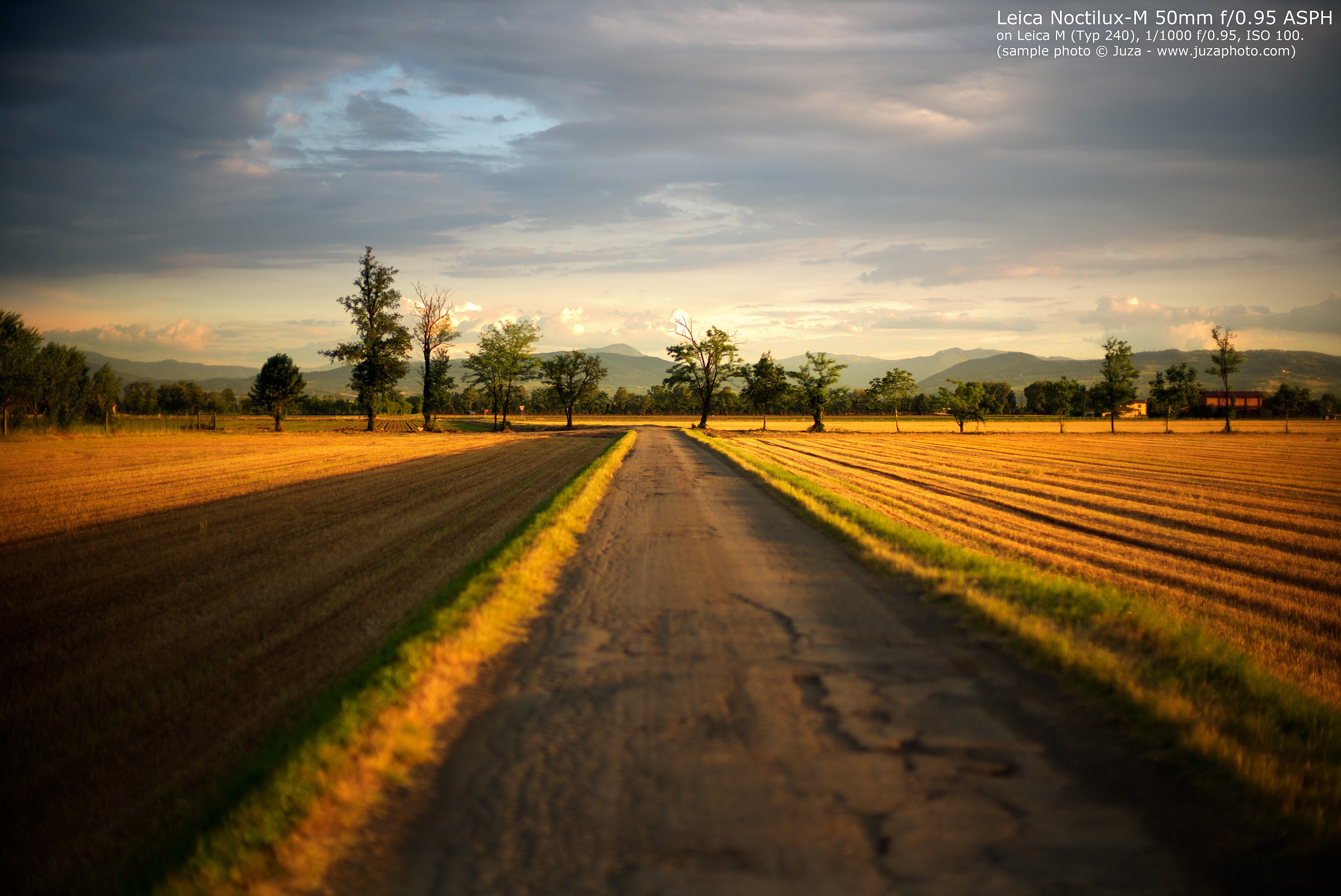 Campagna / Sample Leica 50mm f/0.95, 016753