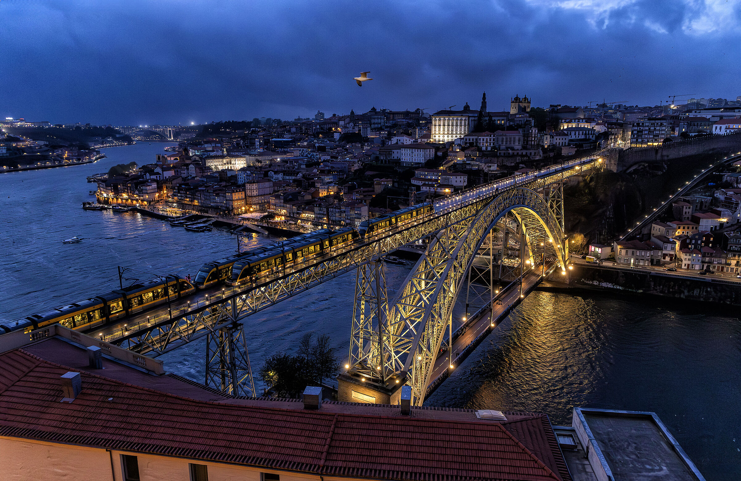 Porto (Portogallo)