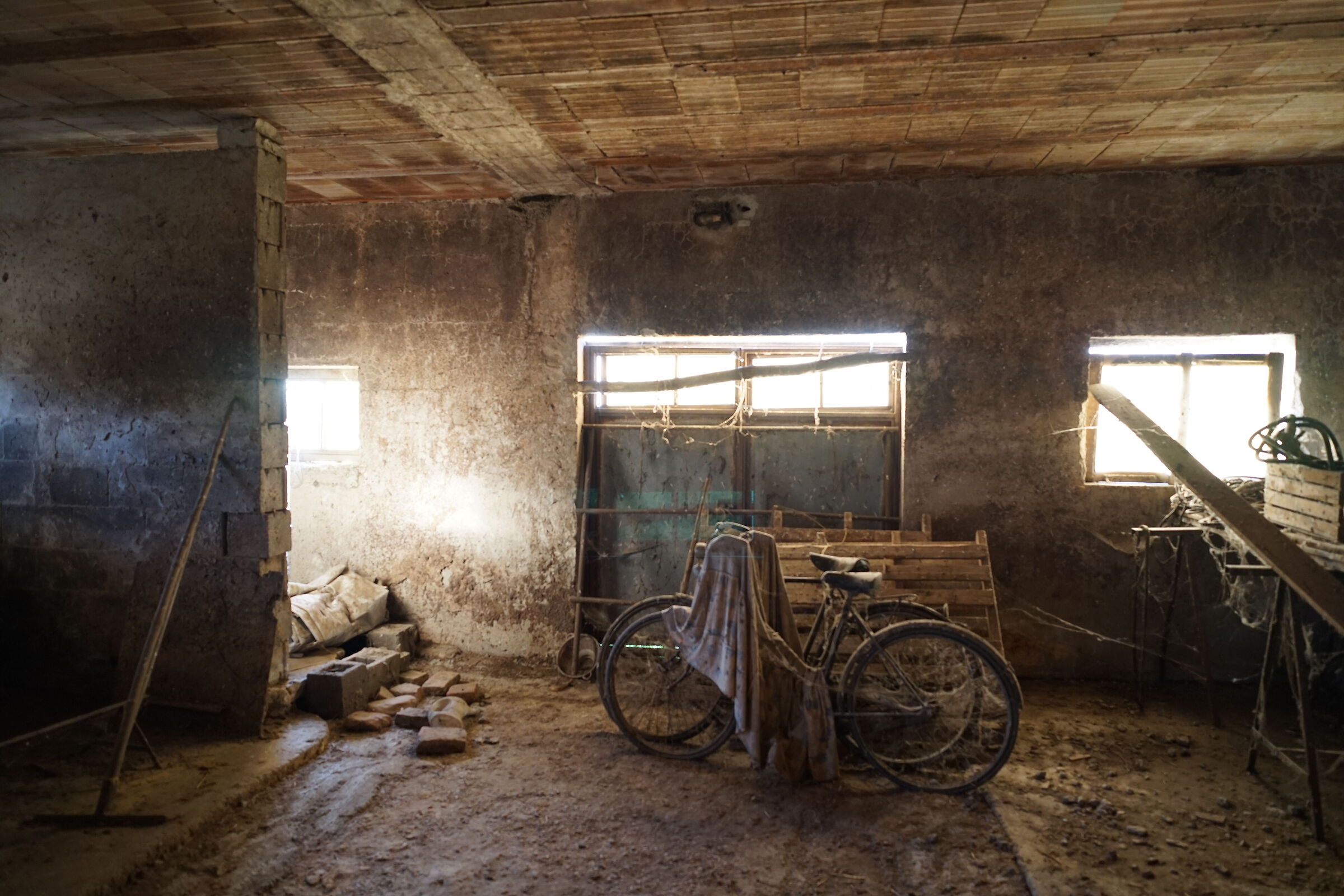 Nella vecchia stalla