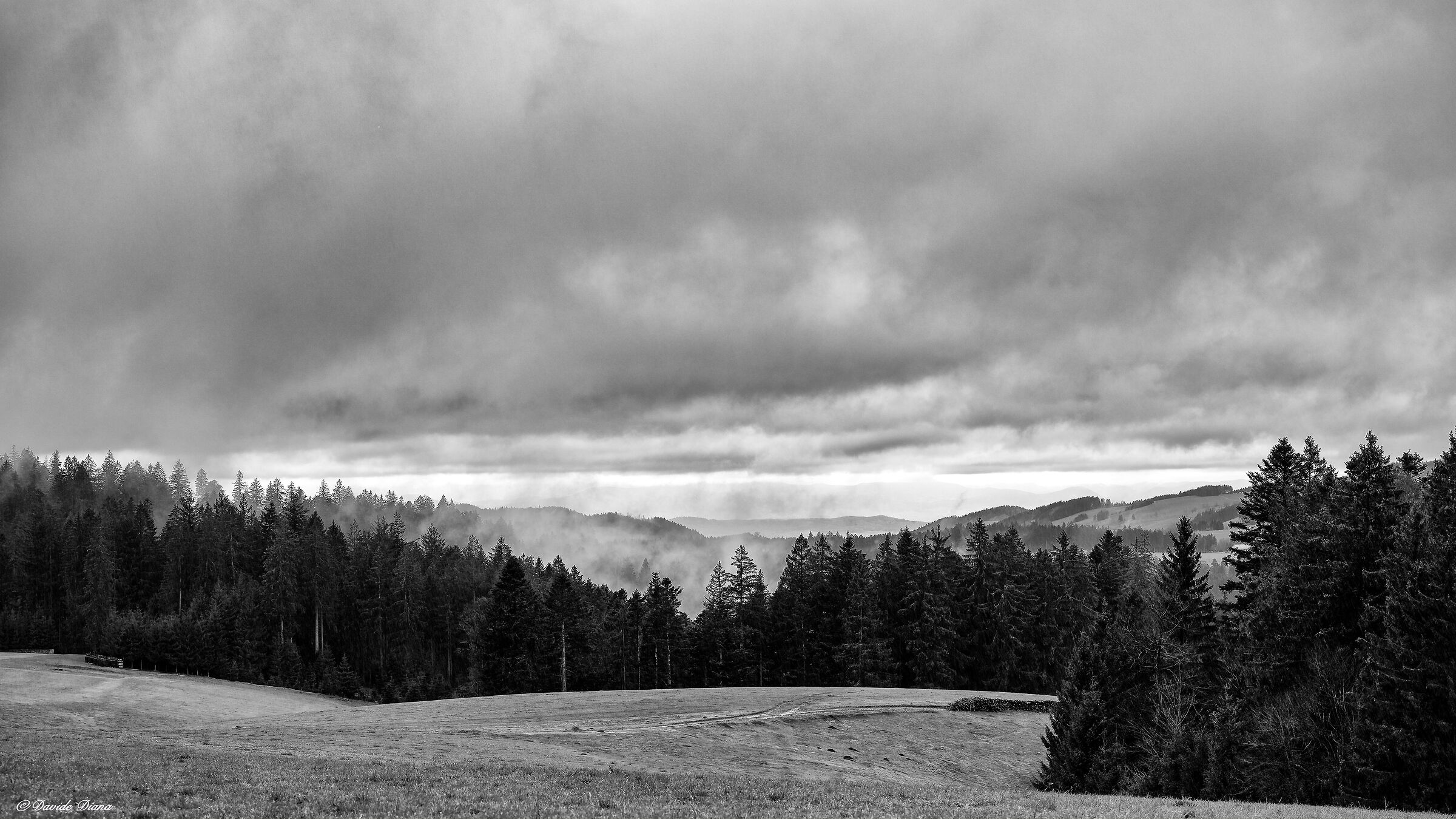 Black Forest - Germany