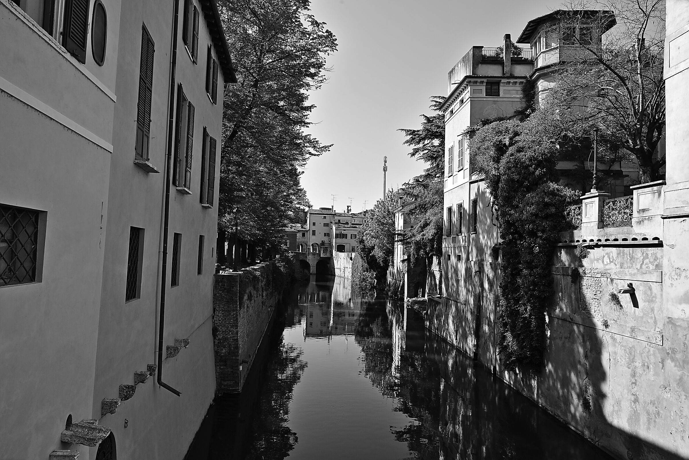 Mantua