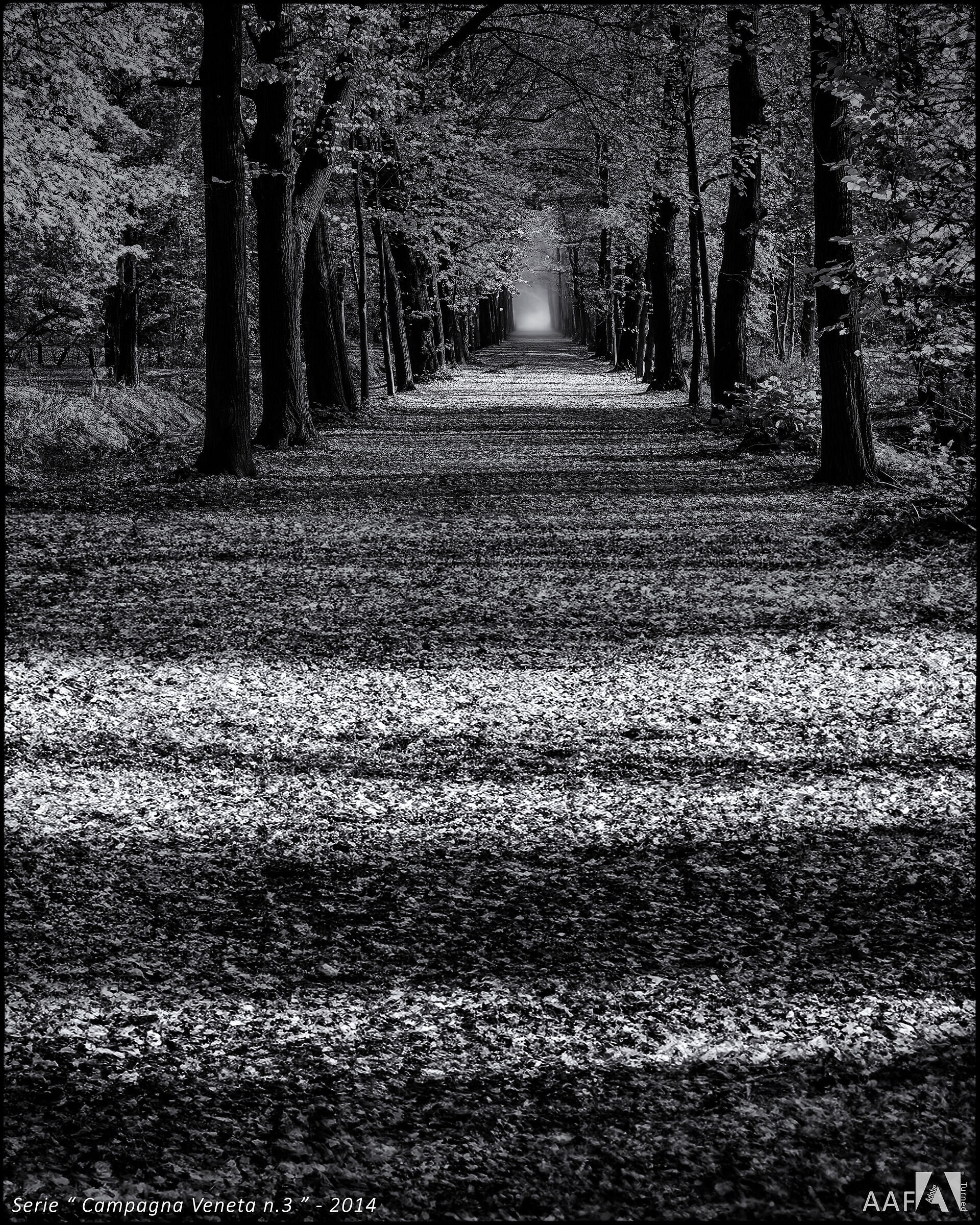 Serie "Campagna Veneta n.3" - 2014