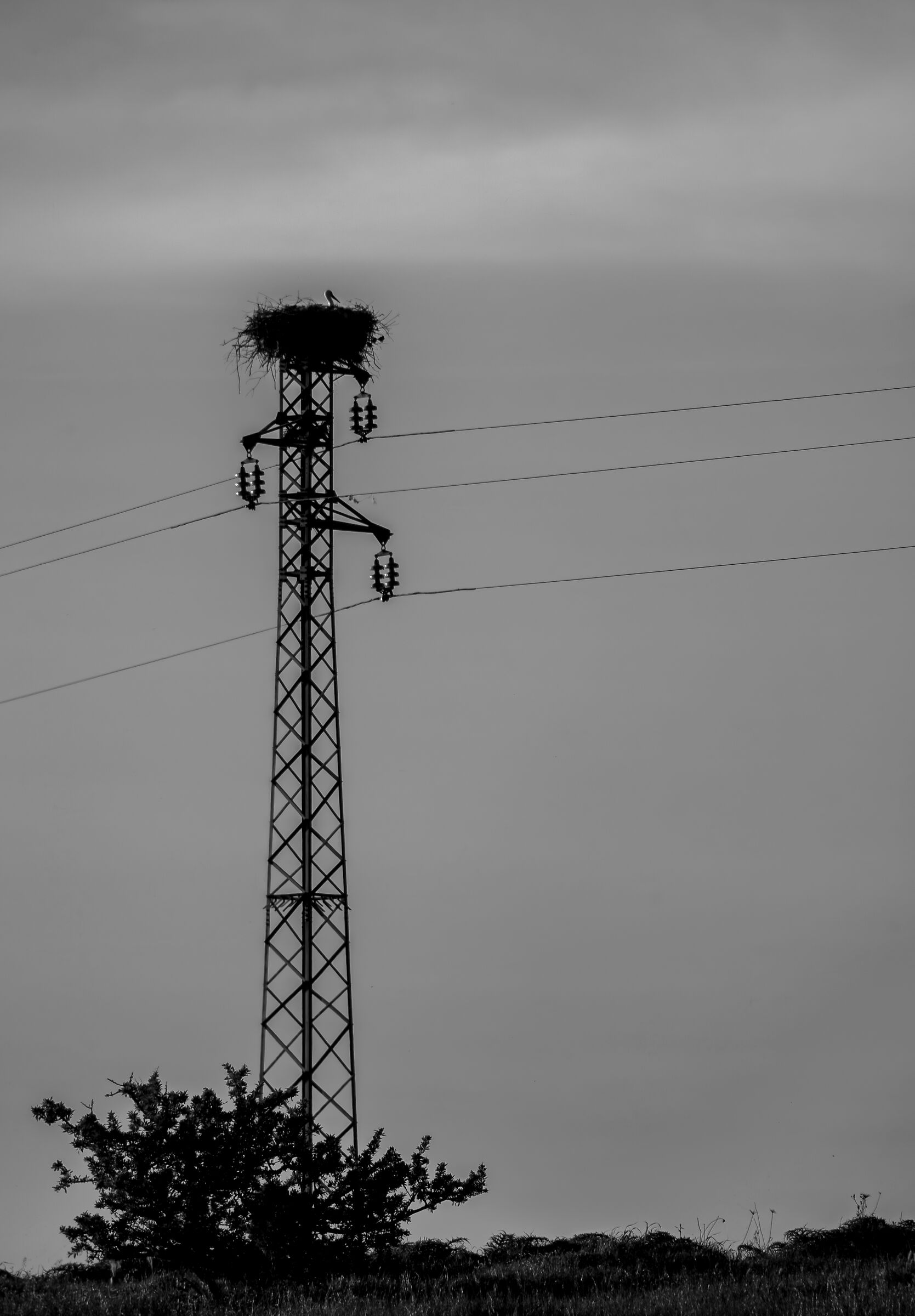 The view is great from here, but I'm waiting for him to come...