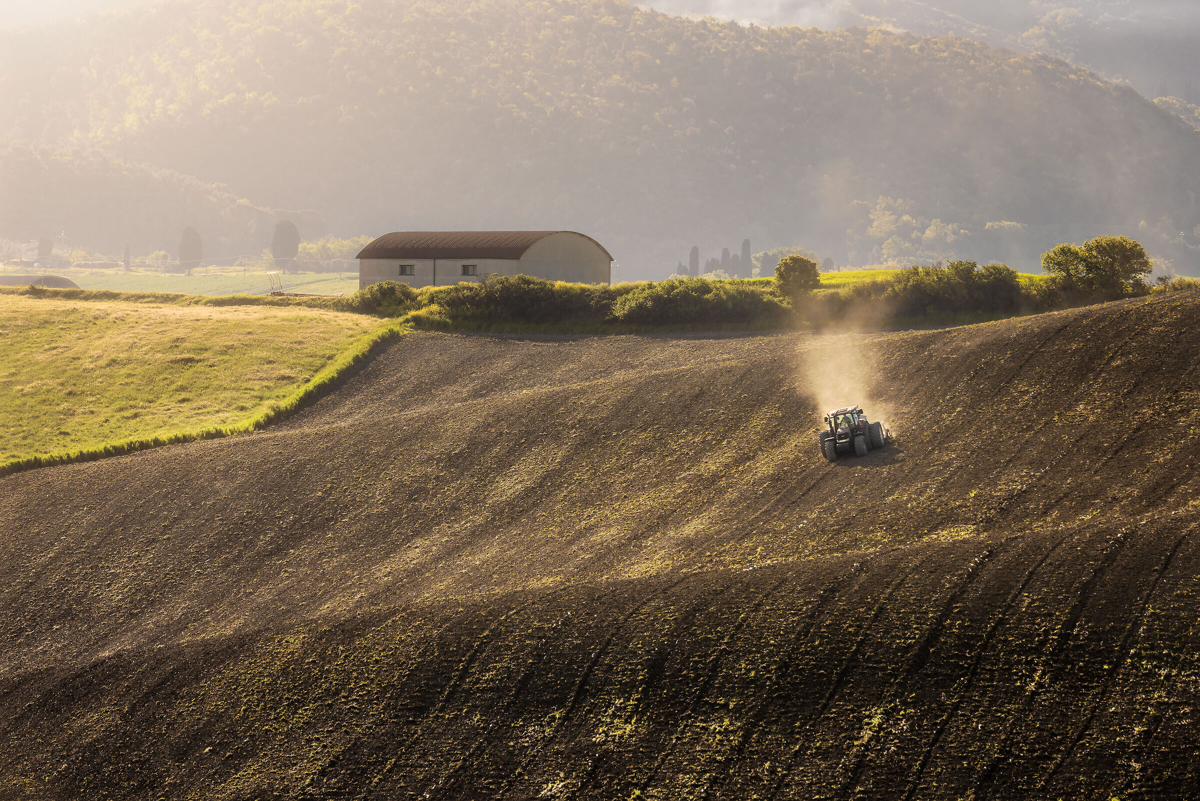 Lavoratori della domenica