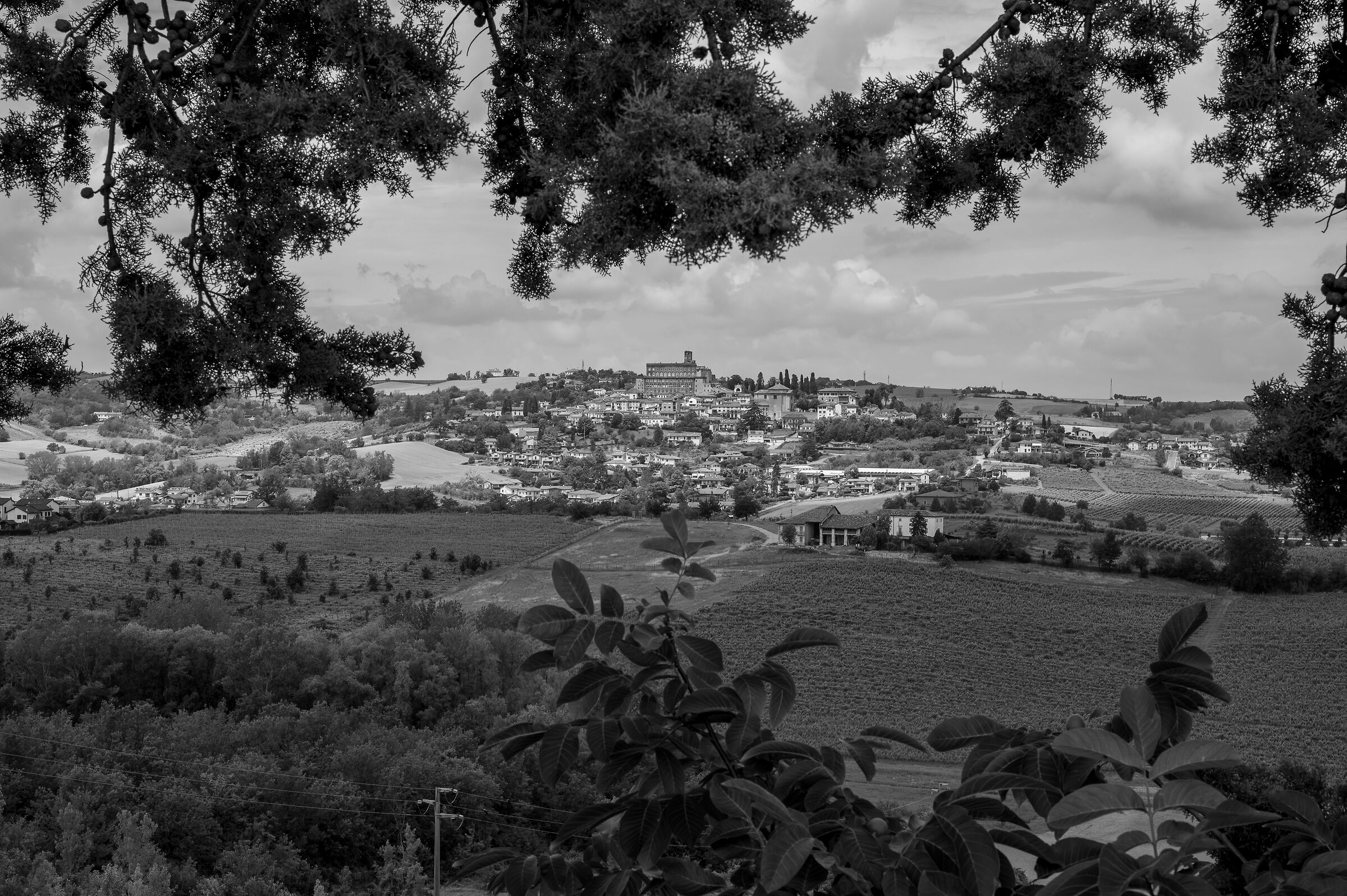 Natural frames - San Giorgio Monferrato
