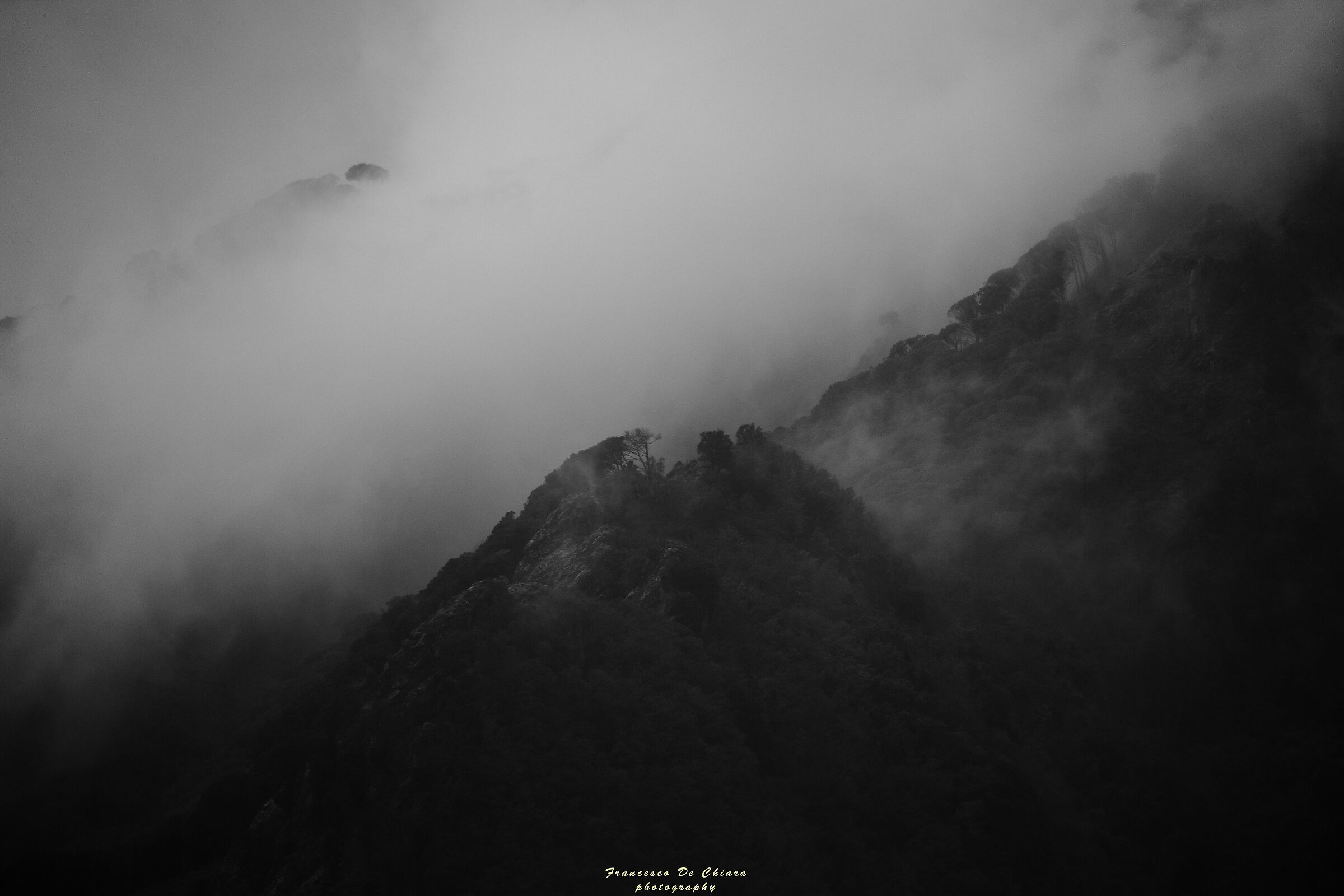 Untitled Photo
