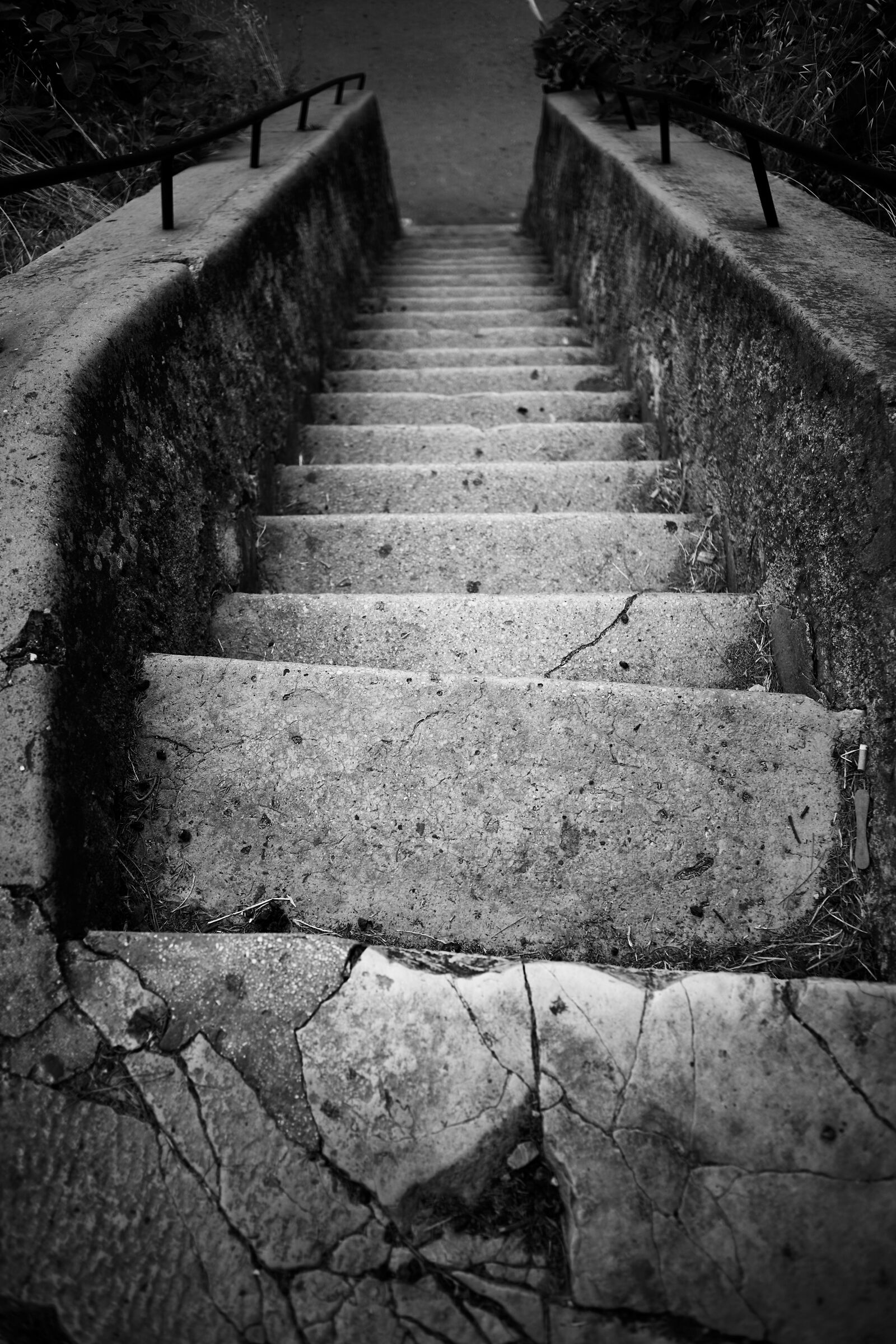Untitled Photo