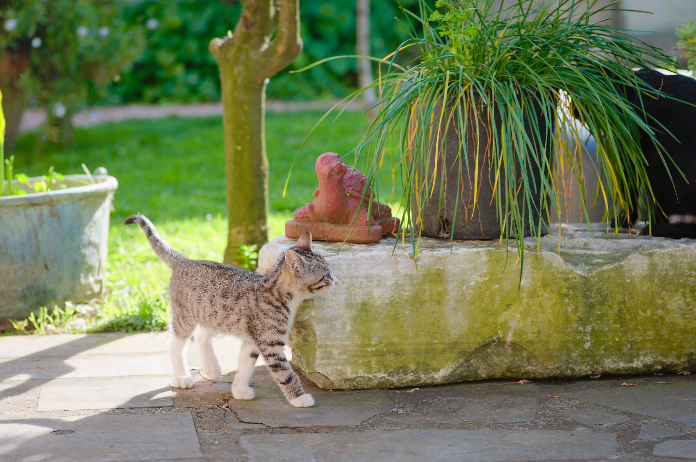 Hermione e Cleopatra