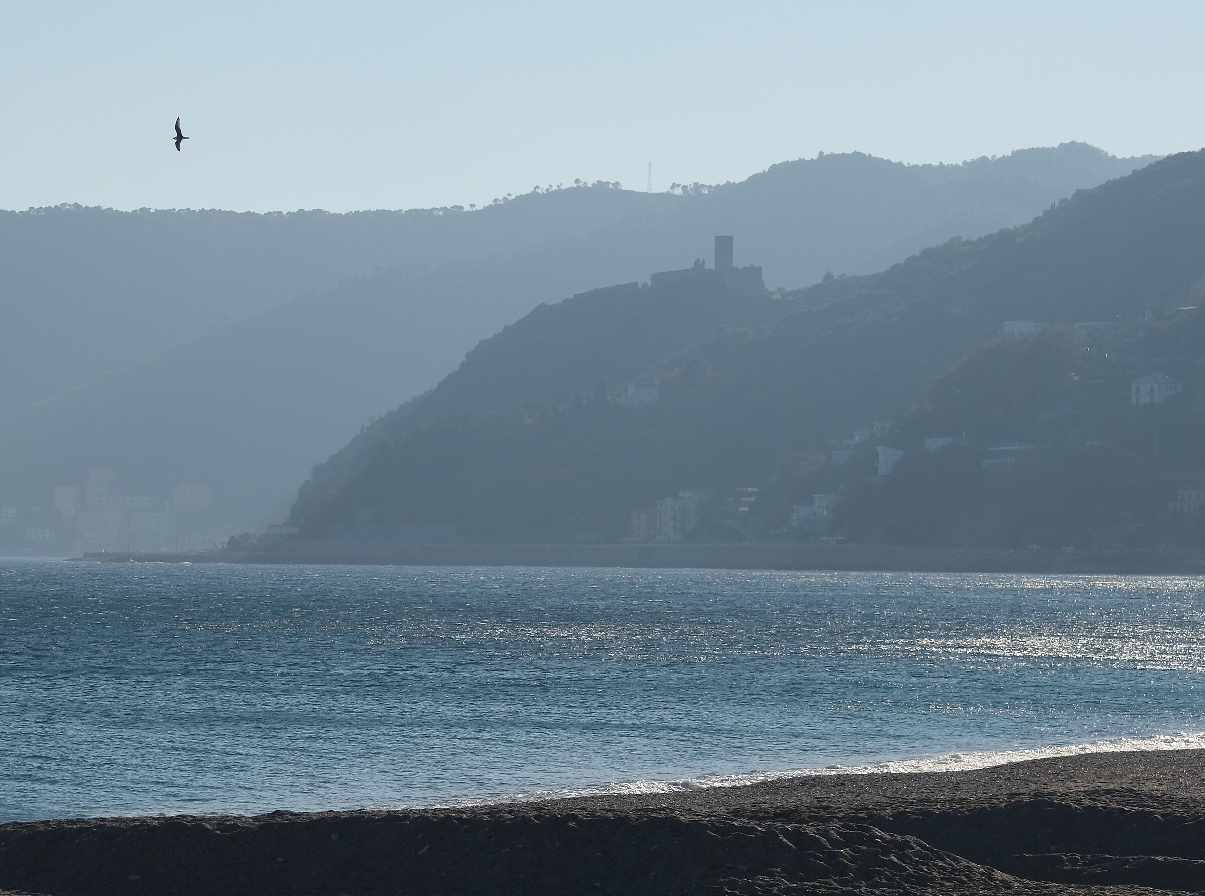 Sea in winter