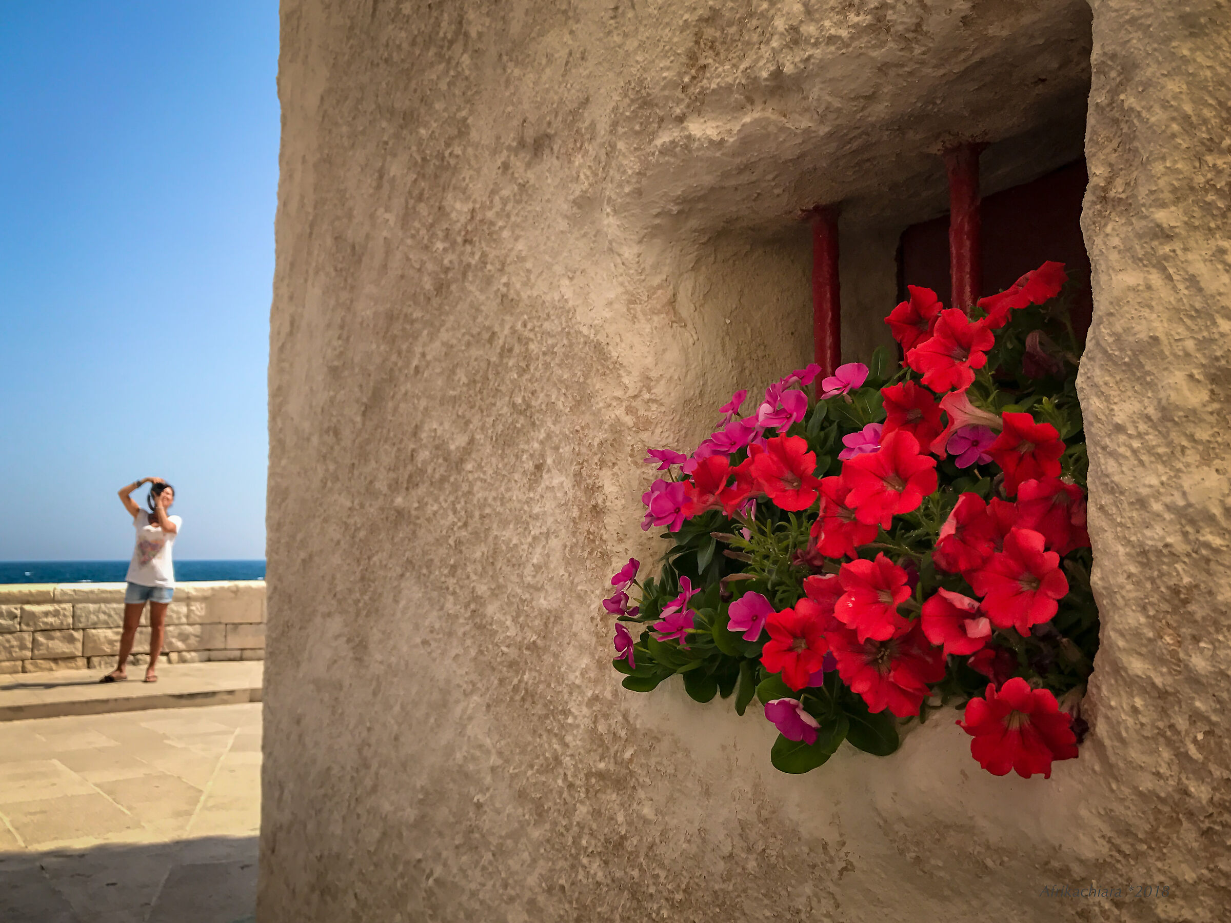 Who photographs... who?!