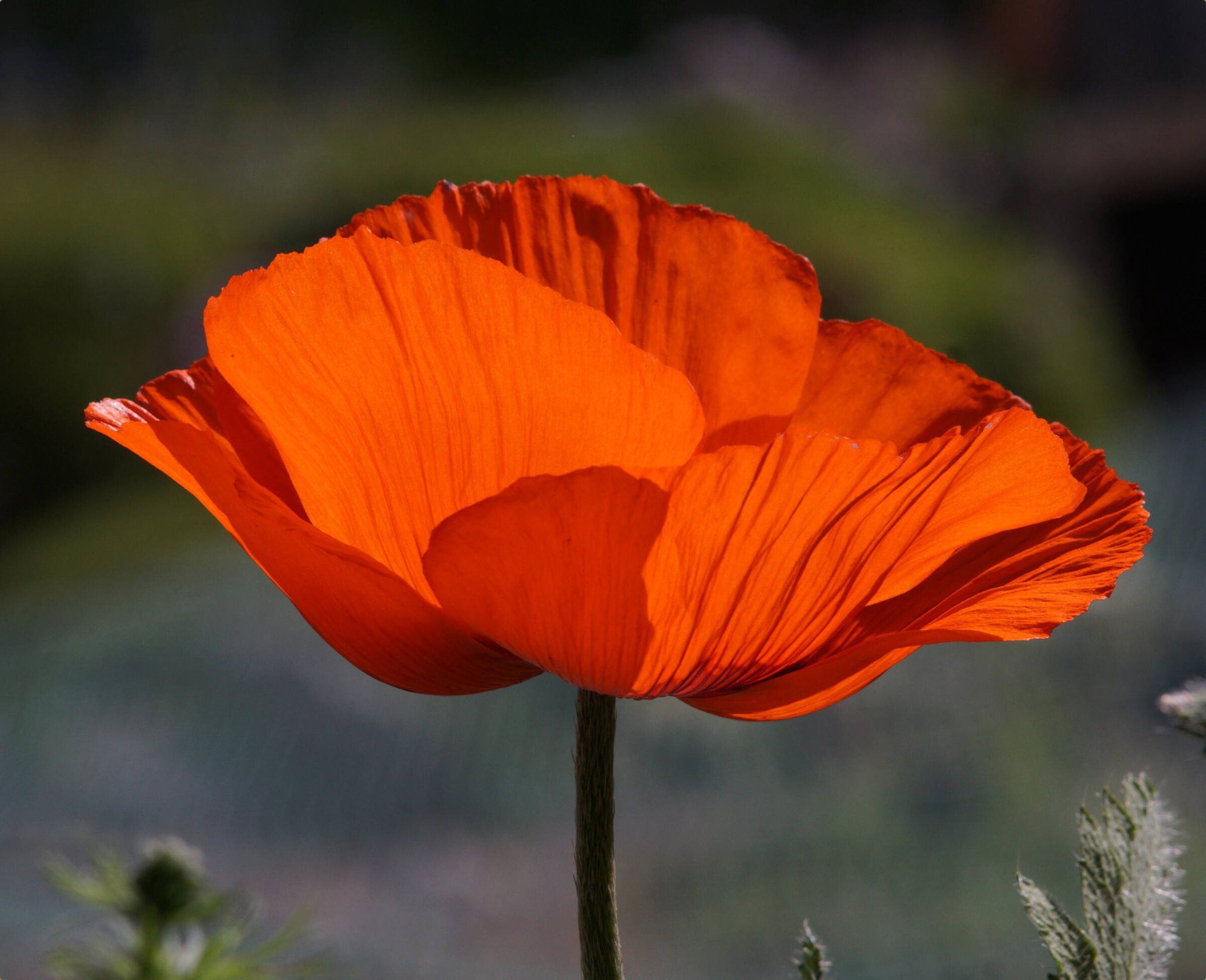 Dove c'è luce, c'è sempre anche l'...