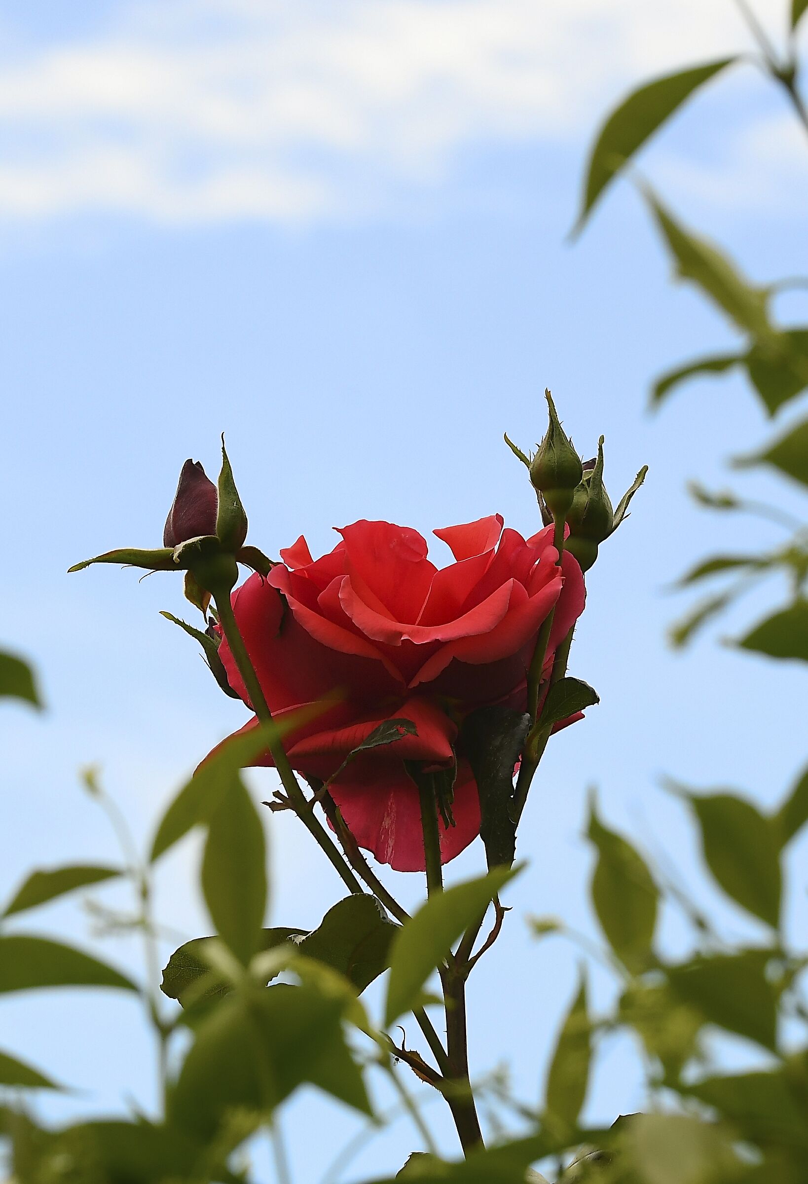 ..non fermarti al primo bacio..