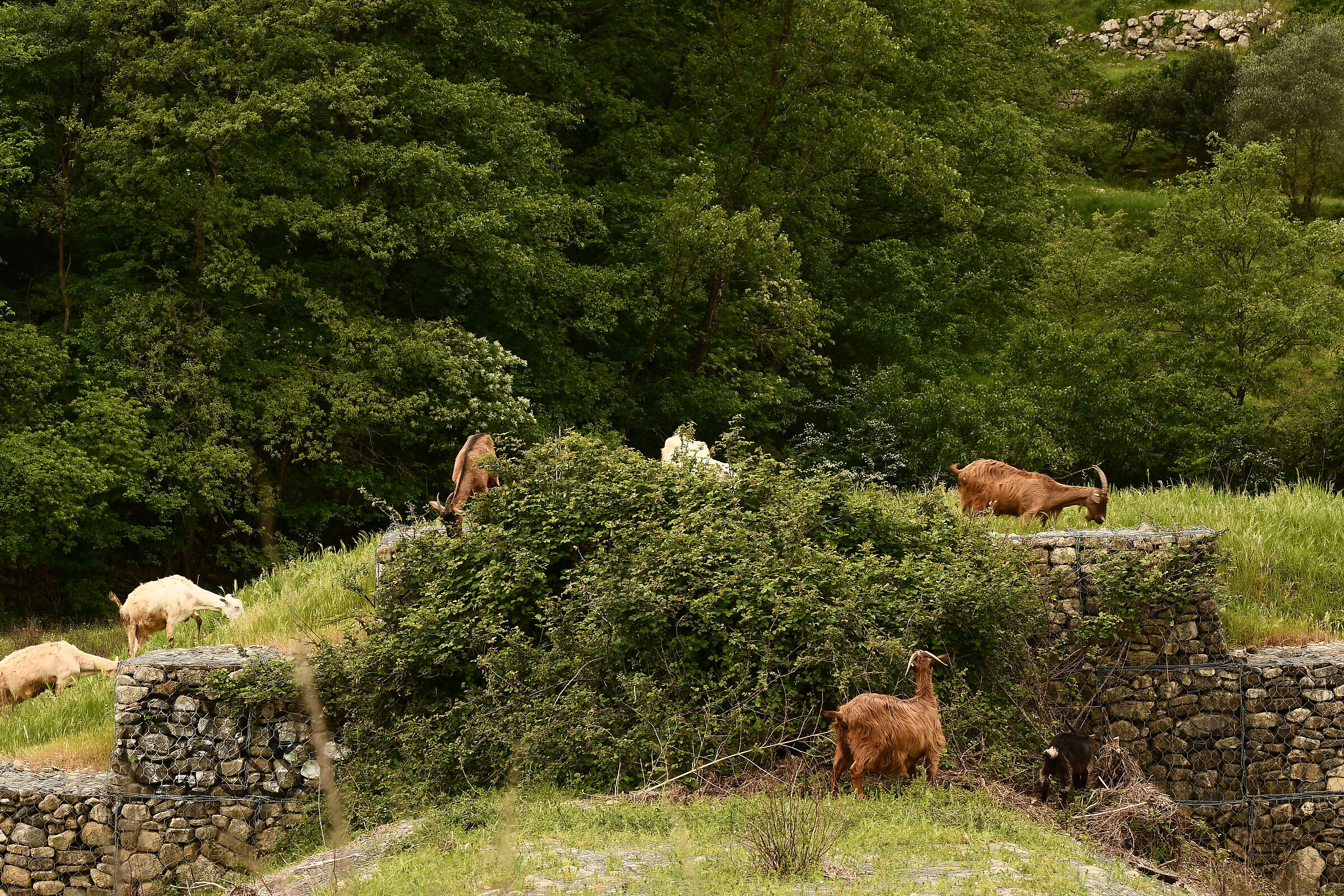 waiting for the mountain..