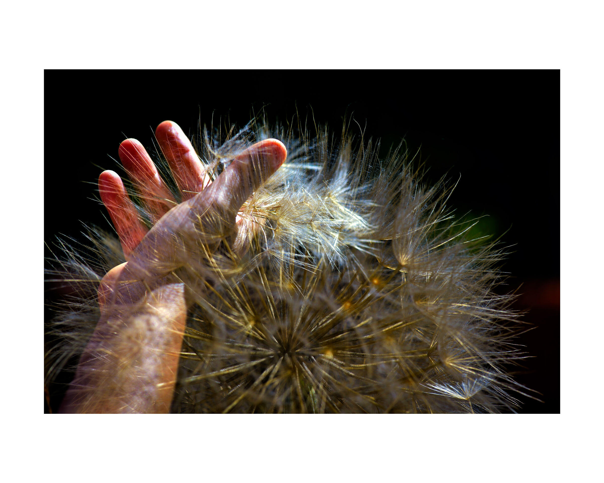 La carezza di un soffio