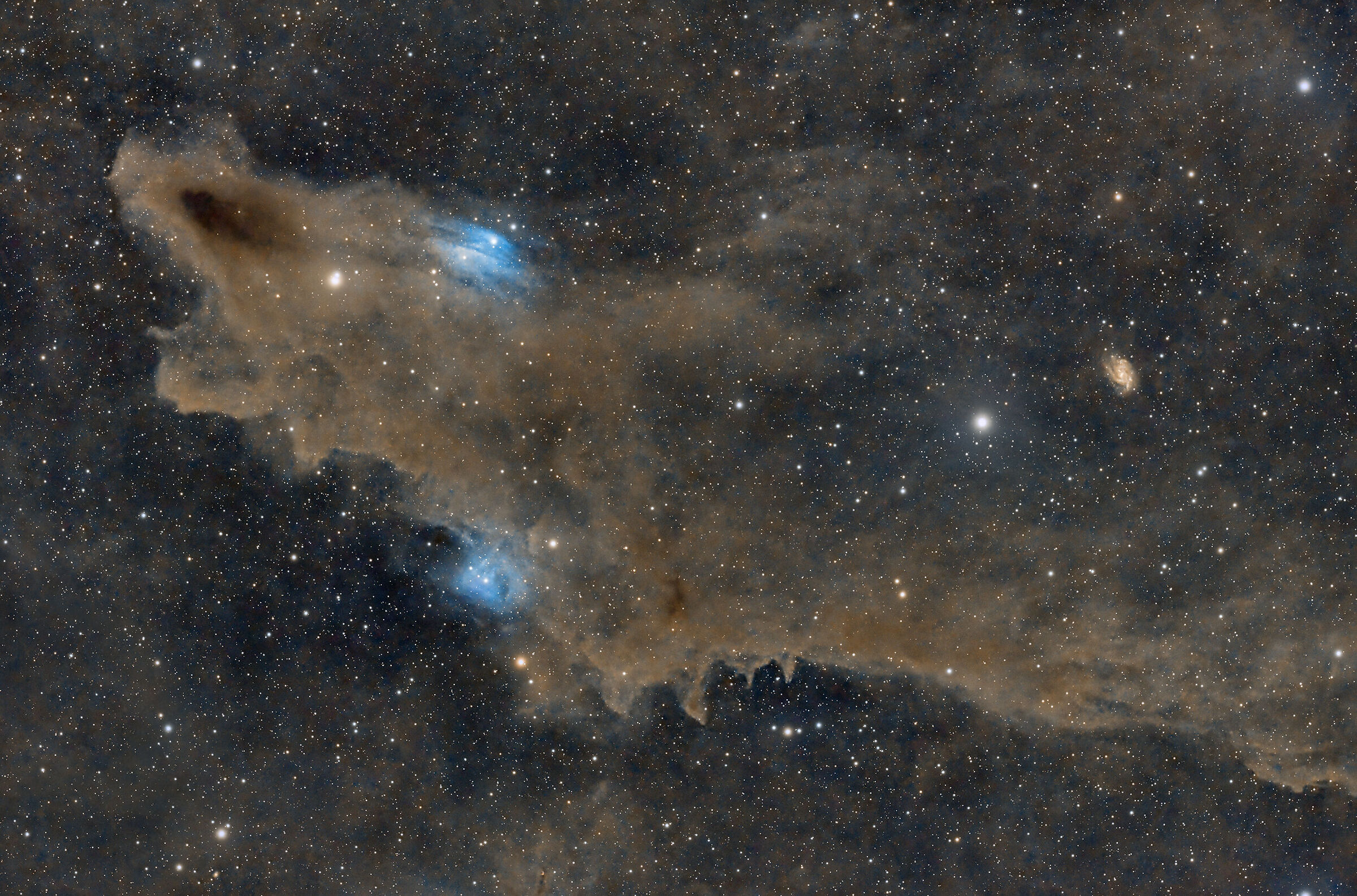 Shark Nebula