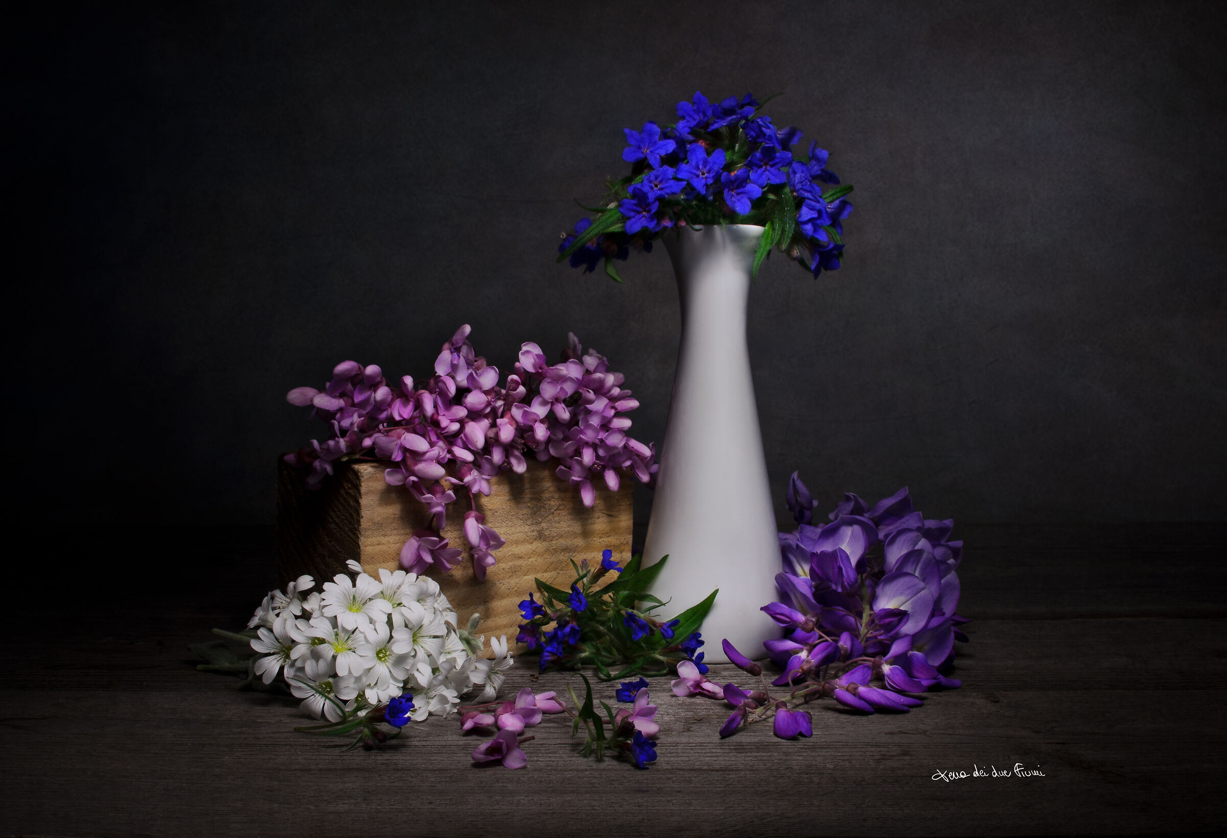 Colori di primavera...