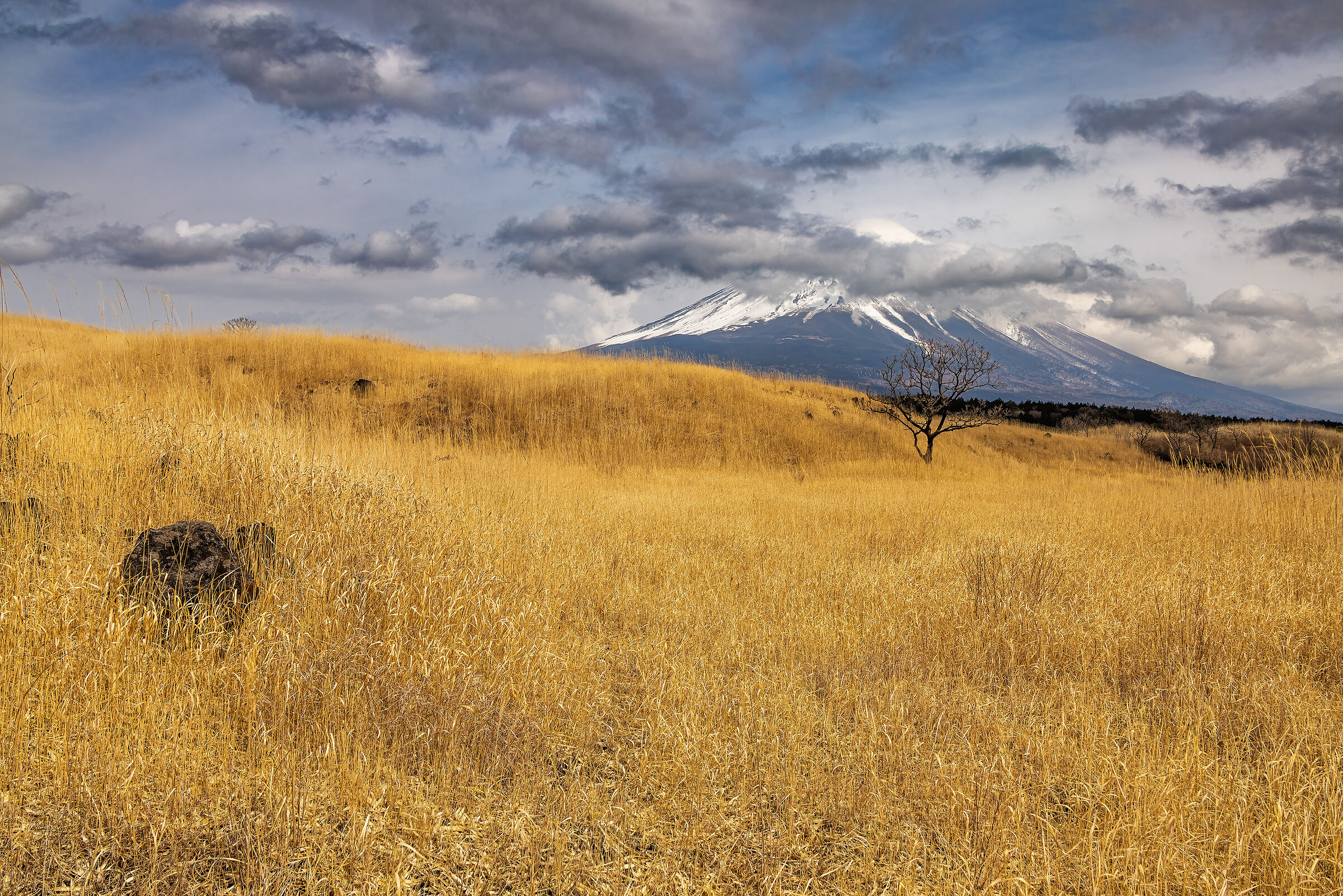 ... and finally Mount Fuji!