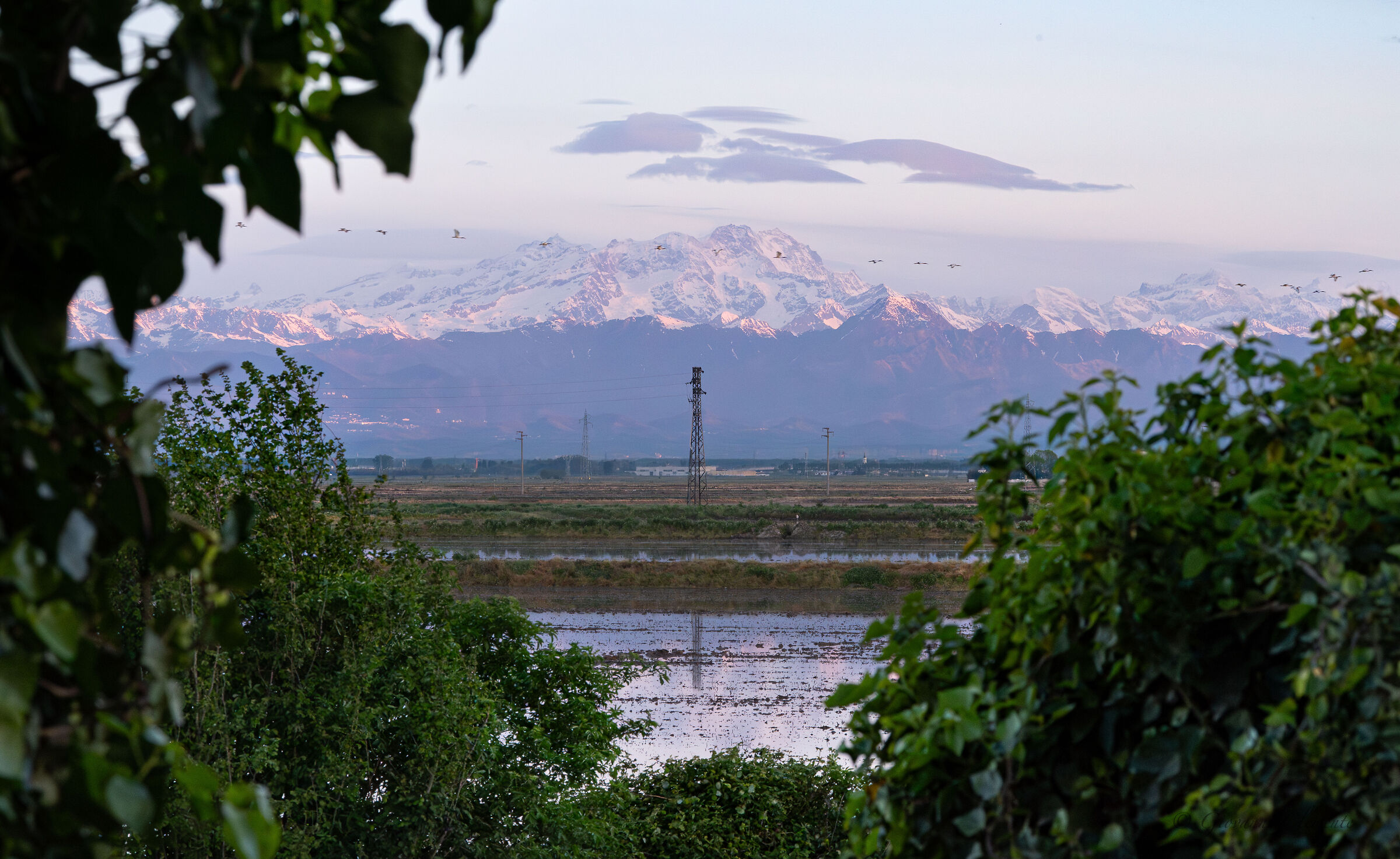 Monte Rosa at dawn