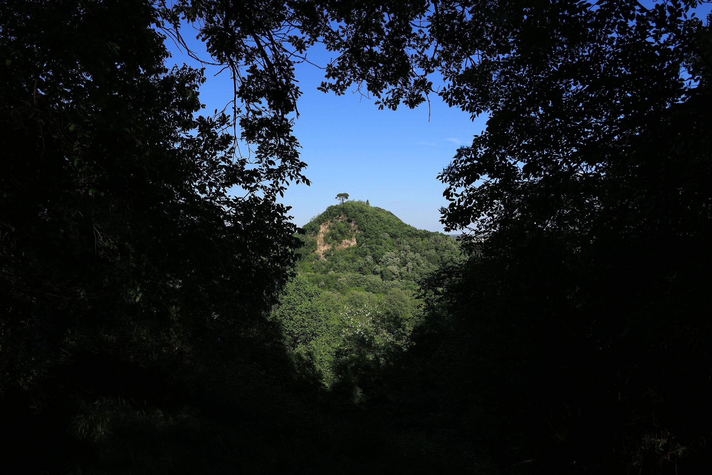 Scorcio sui Colli Euganei