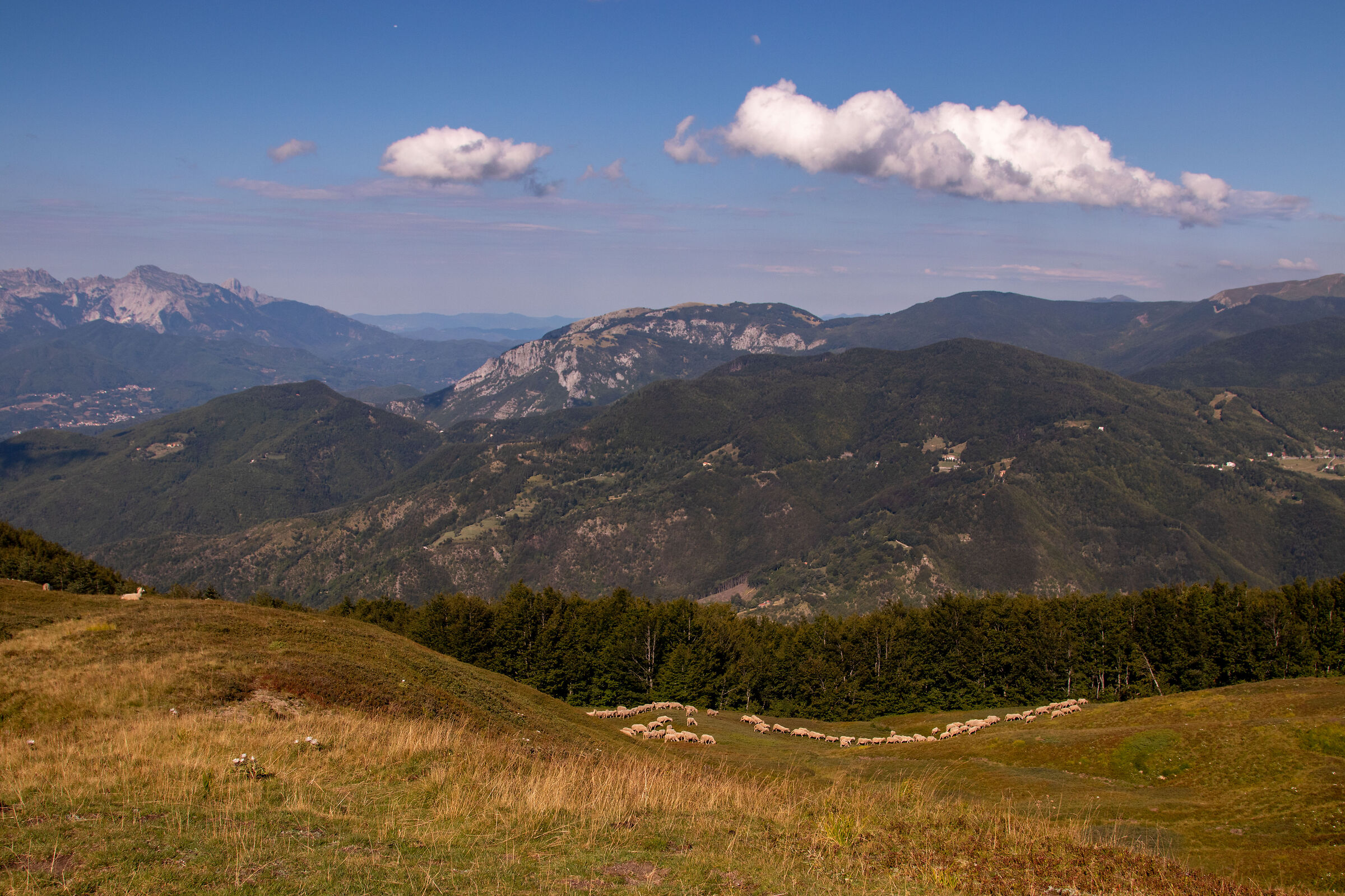 Tuscan-Emilian Apennines
