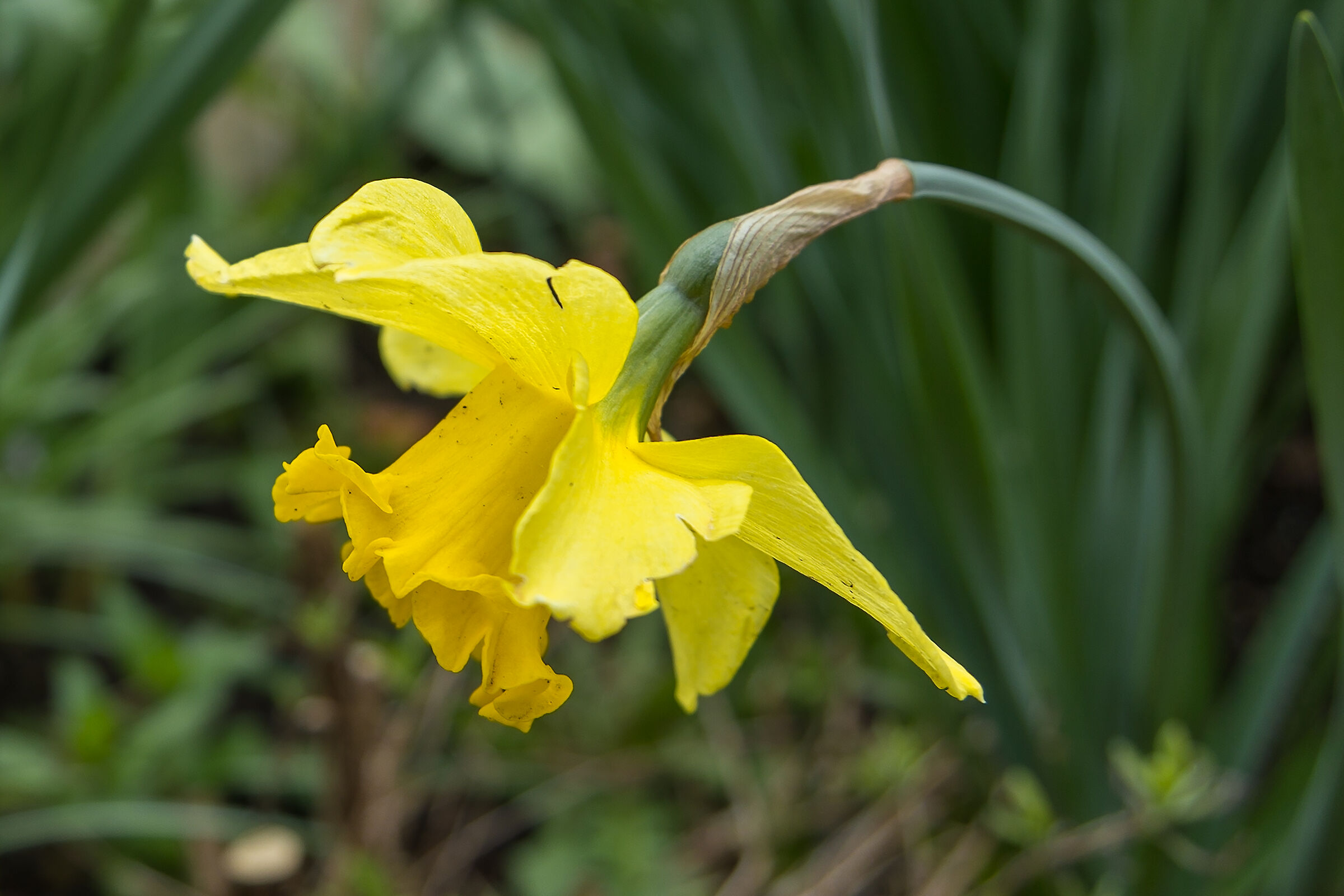 st
