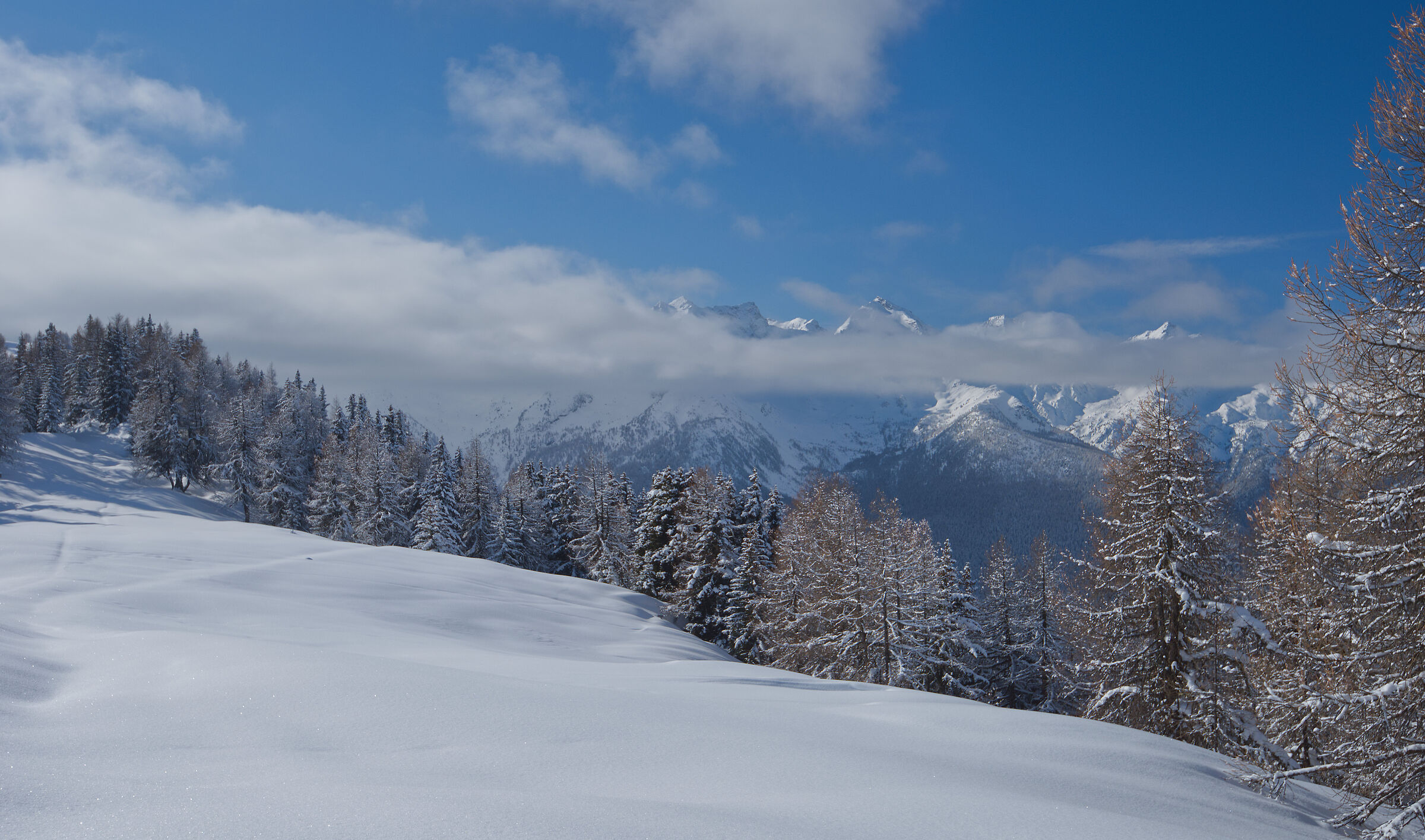 Aosta Valley February 2017