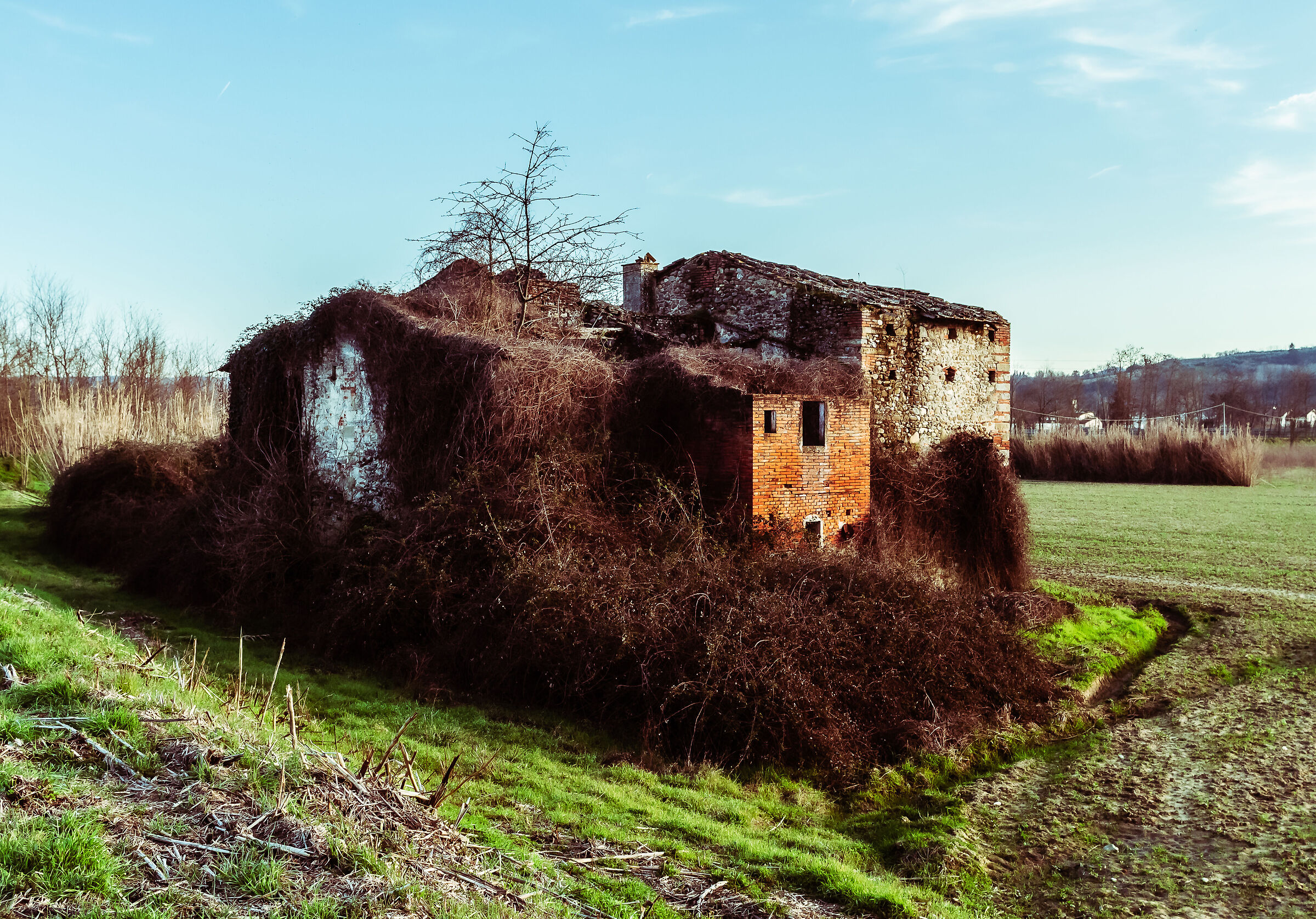 Casolare contadino abbandonato - Vintage