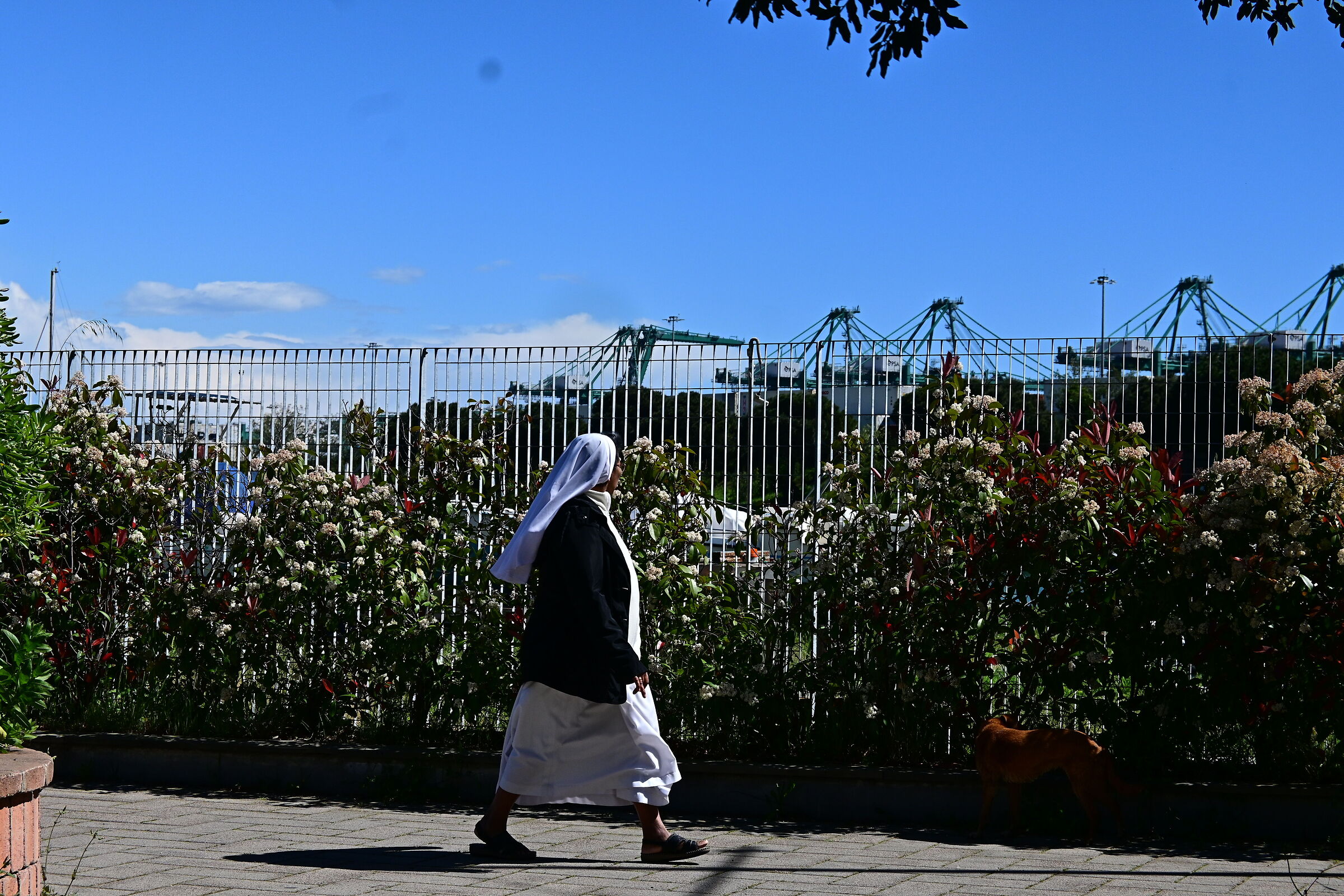 The Nun