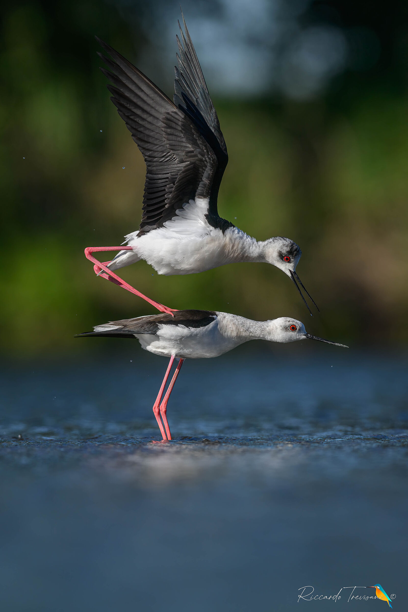 all you need is love....