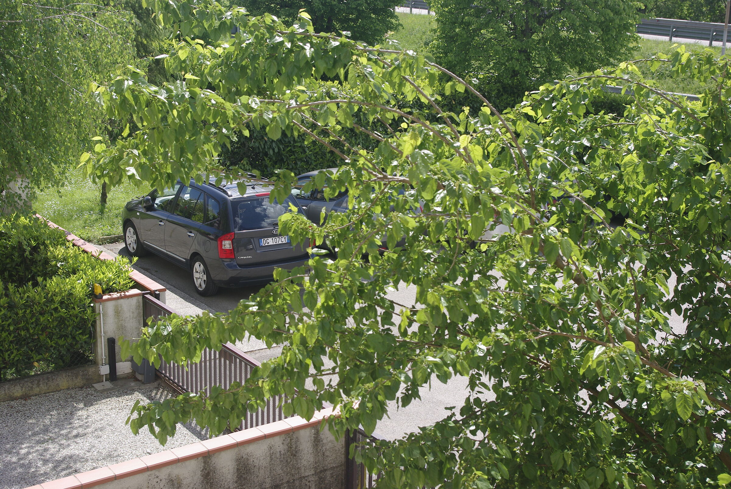 Car glimpsed