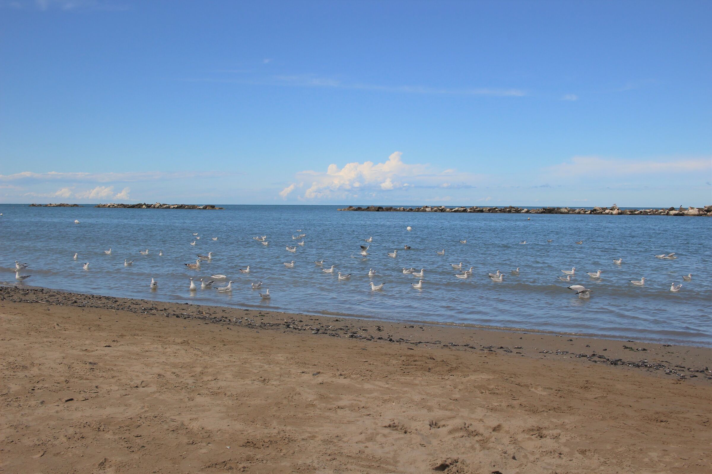 The sea in the time of Covid