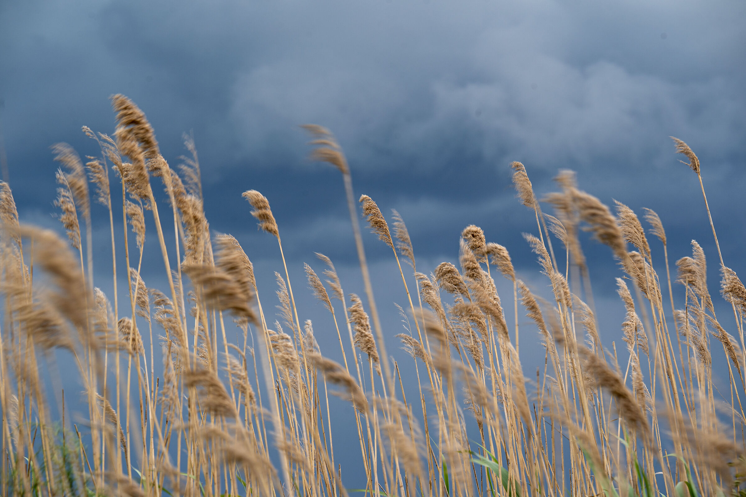 The storm is looming