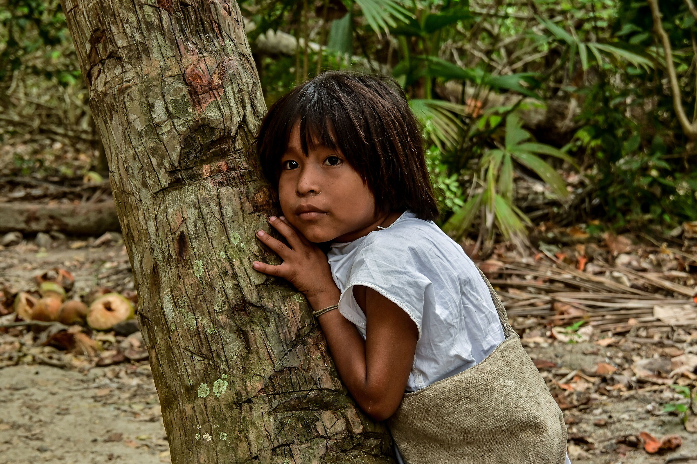 Indigenous Peoples in Parque Nacional Tayrona