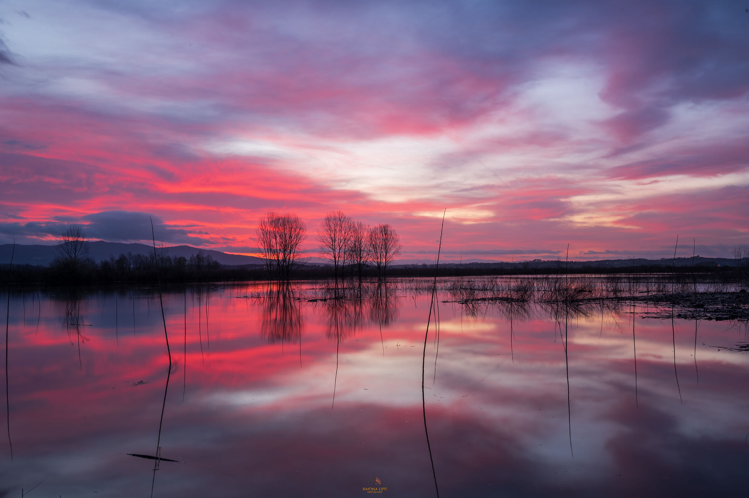 THE MIRROR PINK
