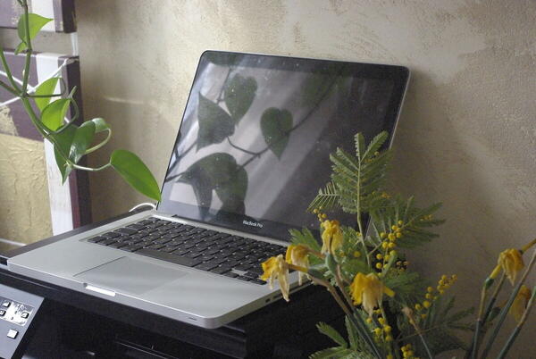 Foto