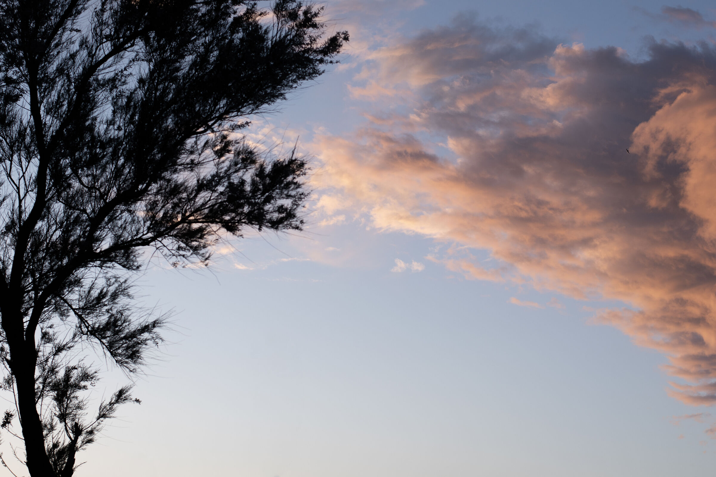 When the earth meets the sky