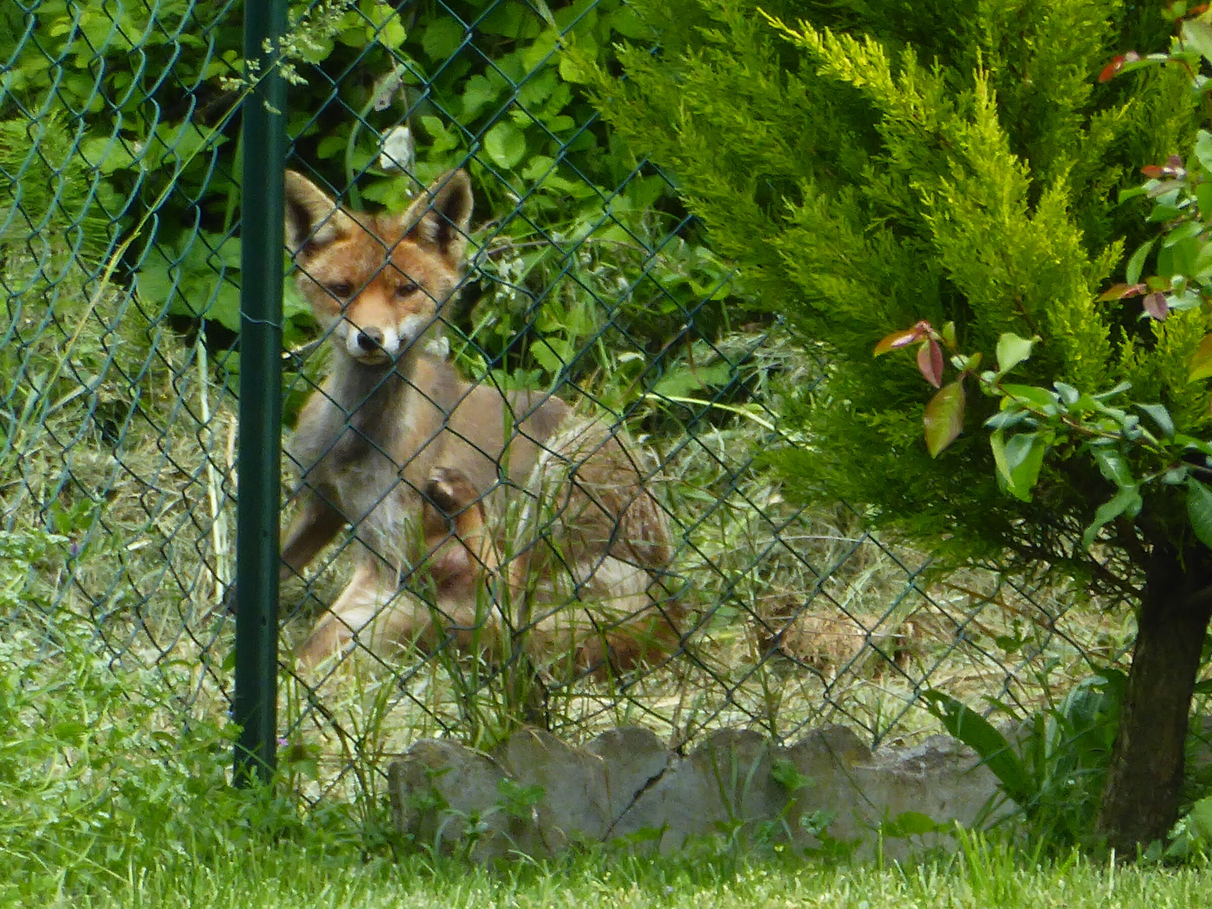 posso entrare a casa tua?