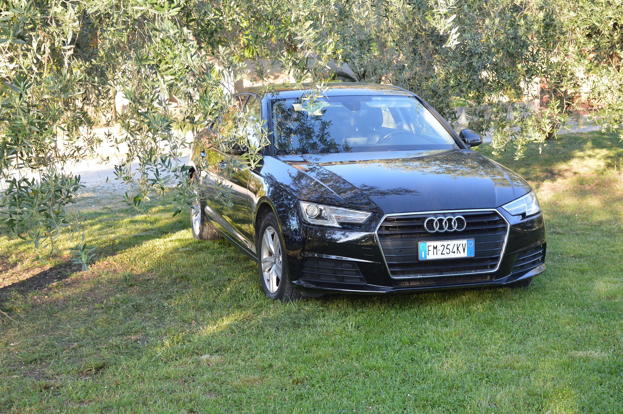 Audi
