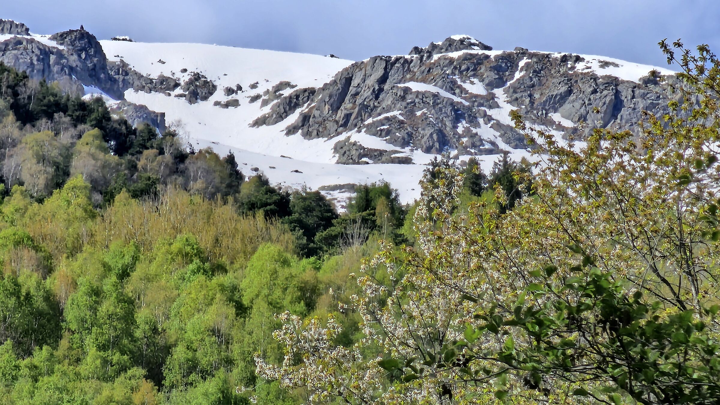 il risveglio della natura