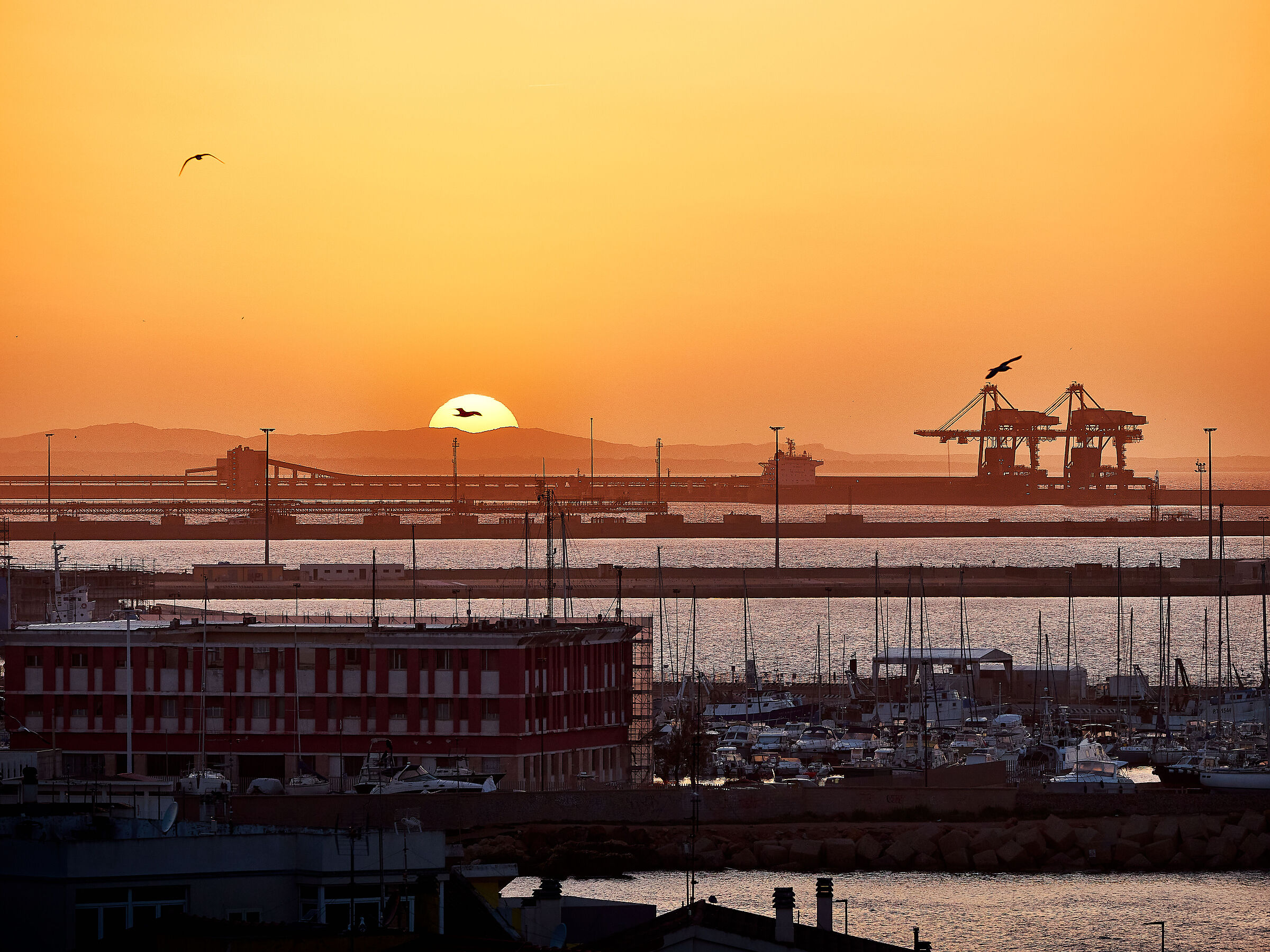 Tramonto sul porto